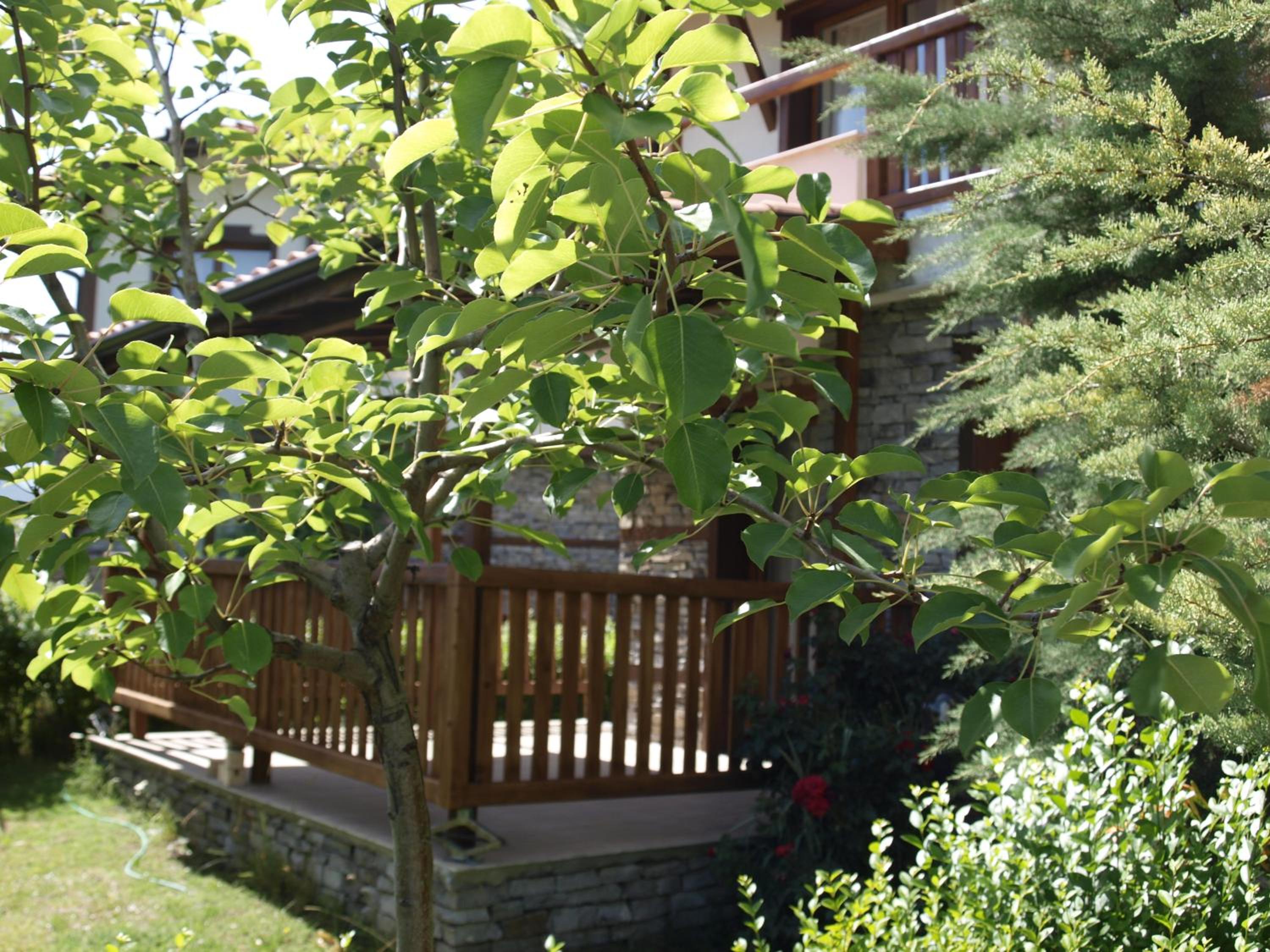 Photo 45