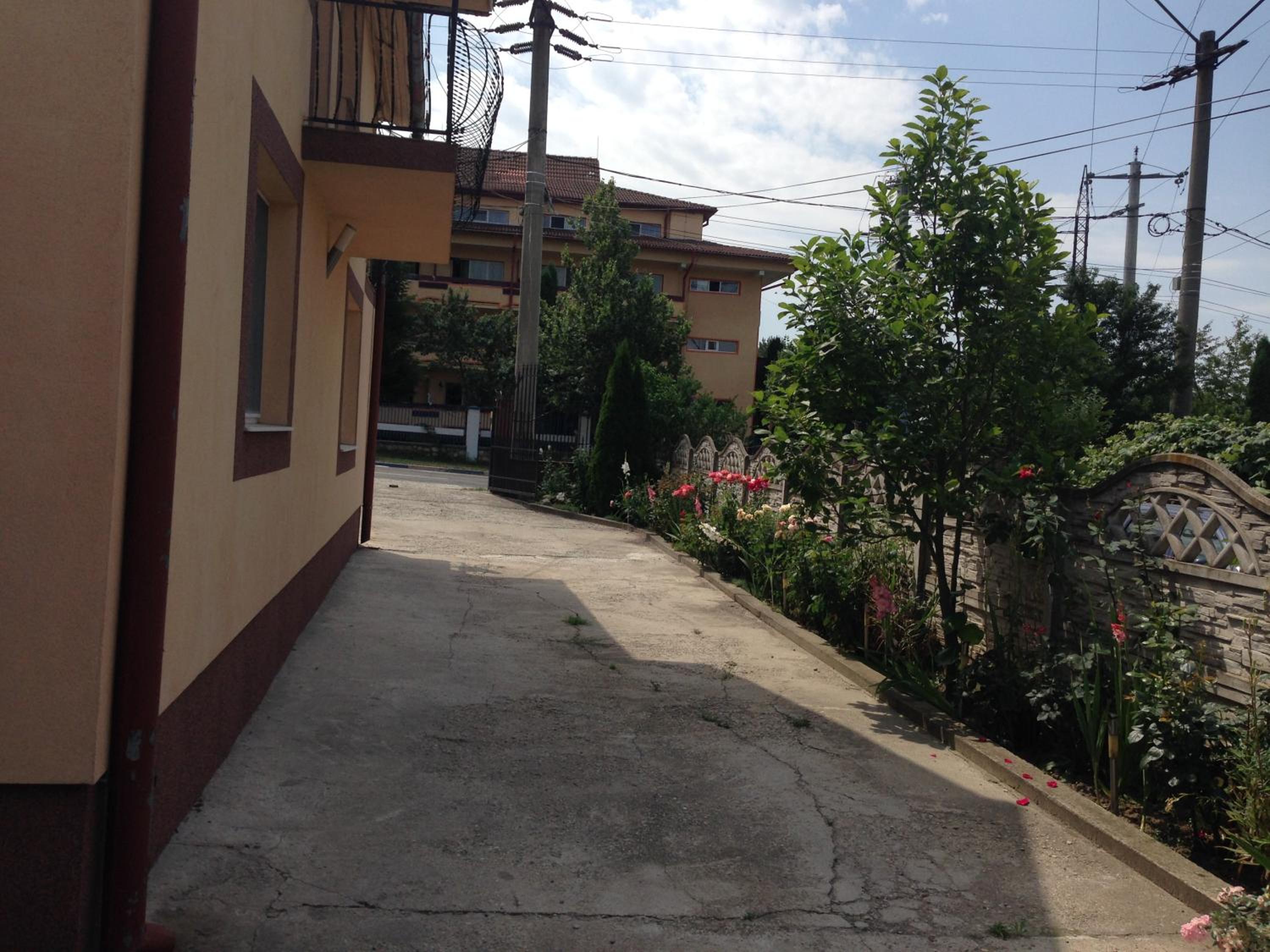 Photo 24