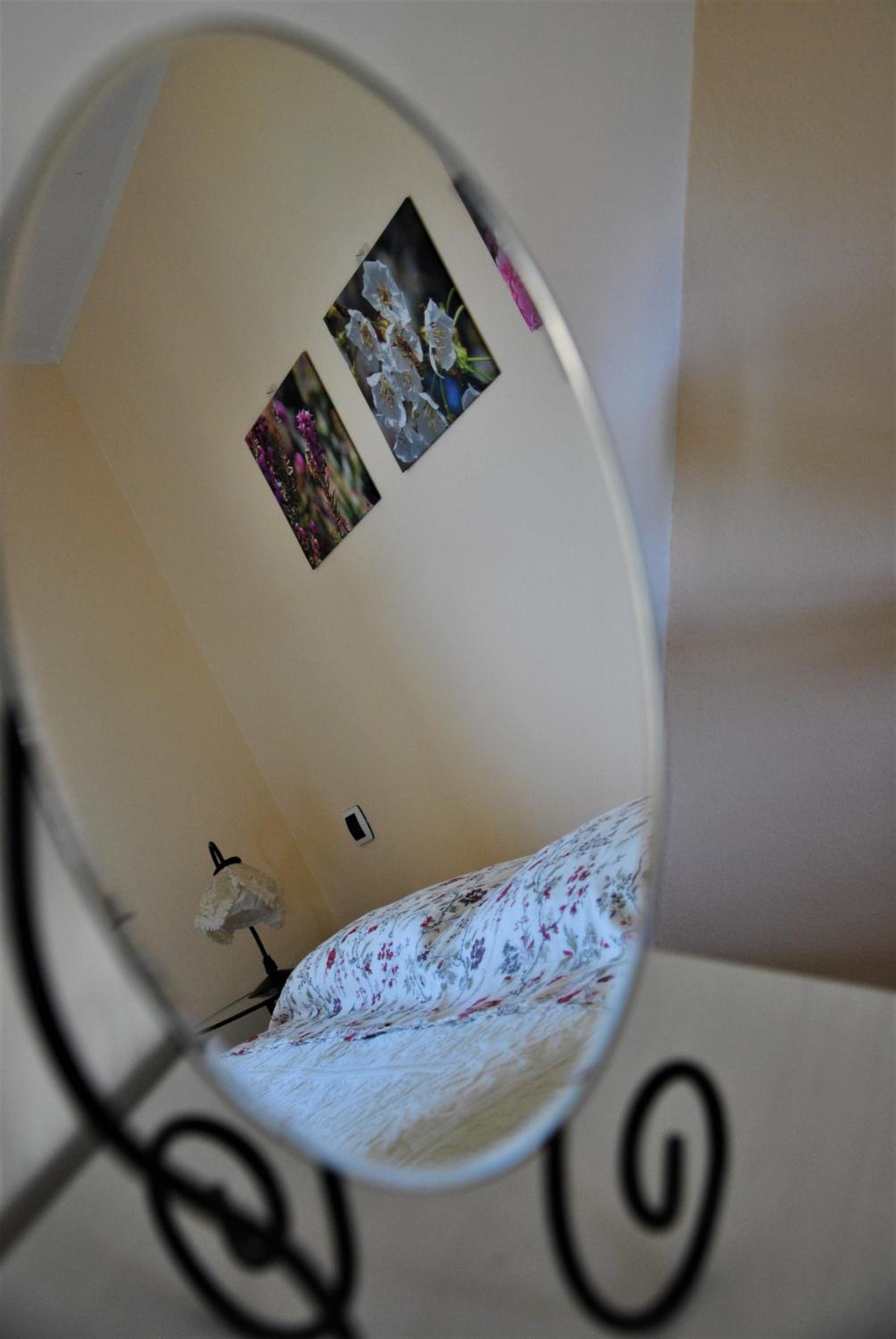 Photo 42