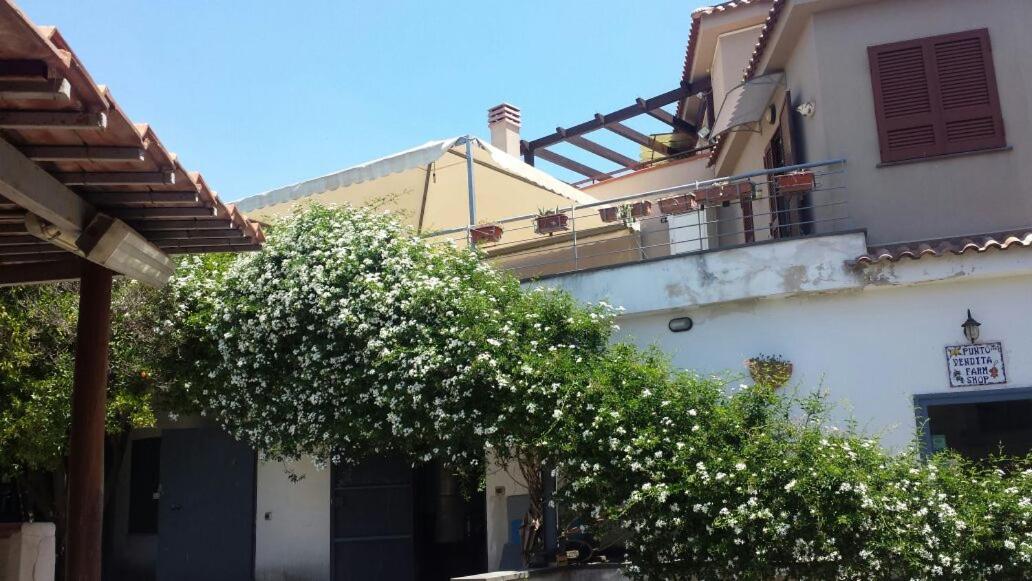 Bed & Breakfast Fuocomuorto view 4