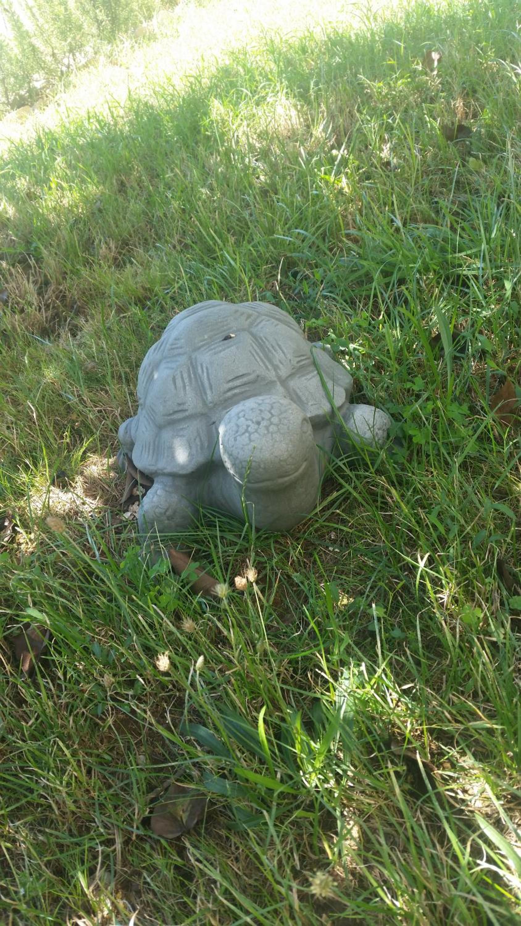 Photo 23