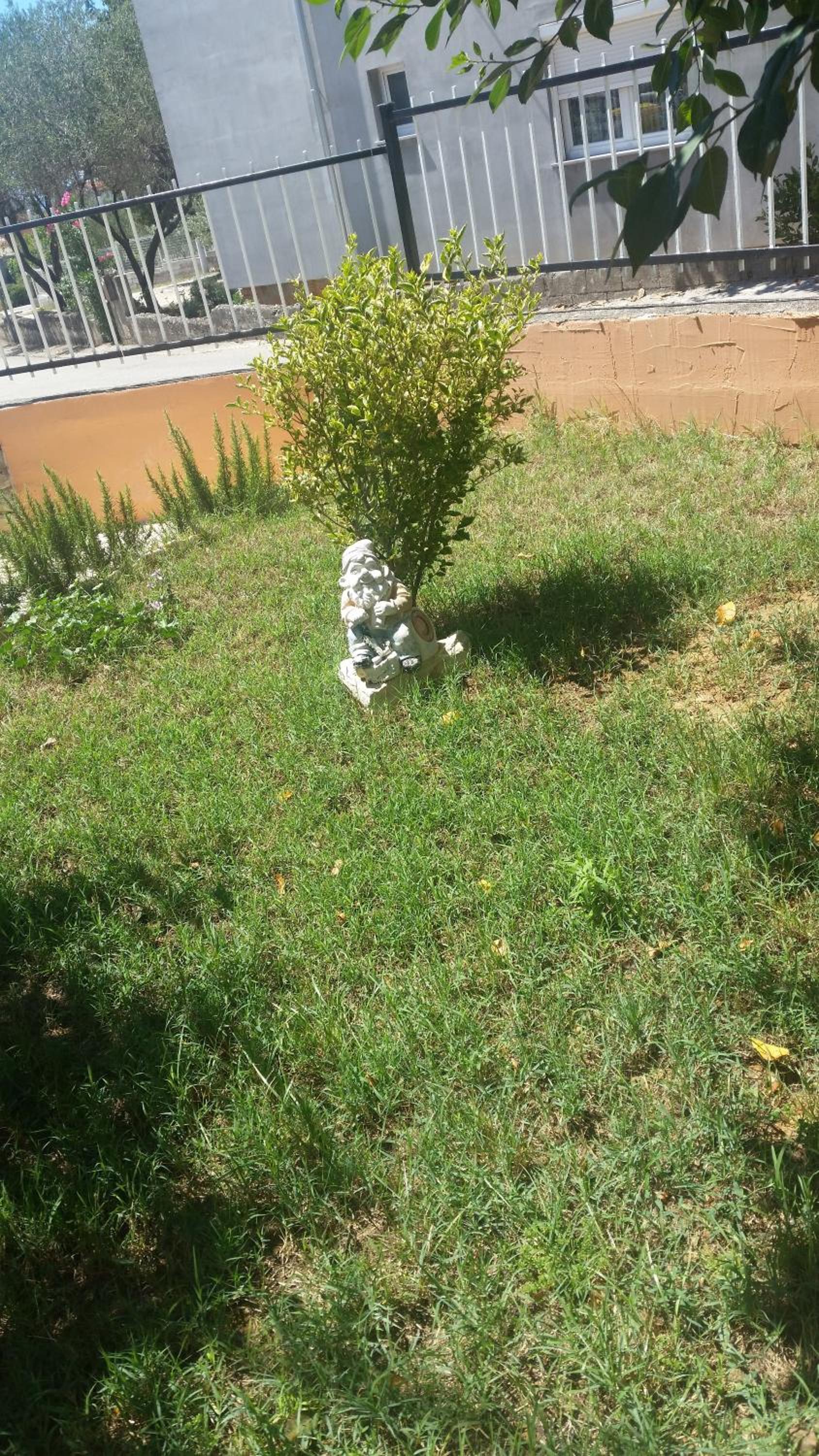 Photo 22