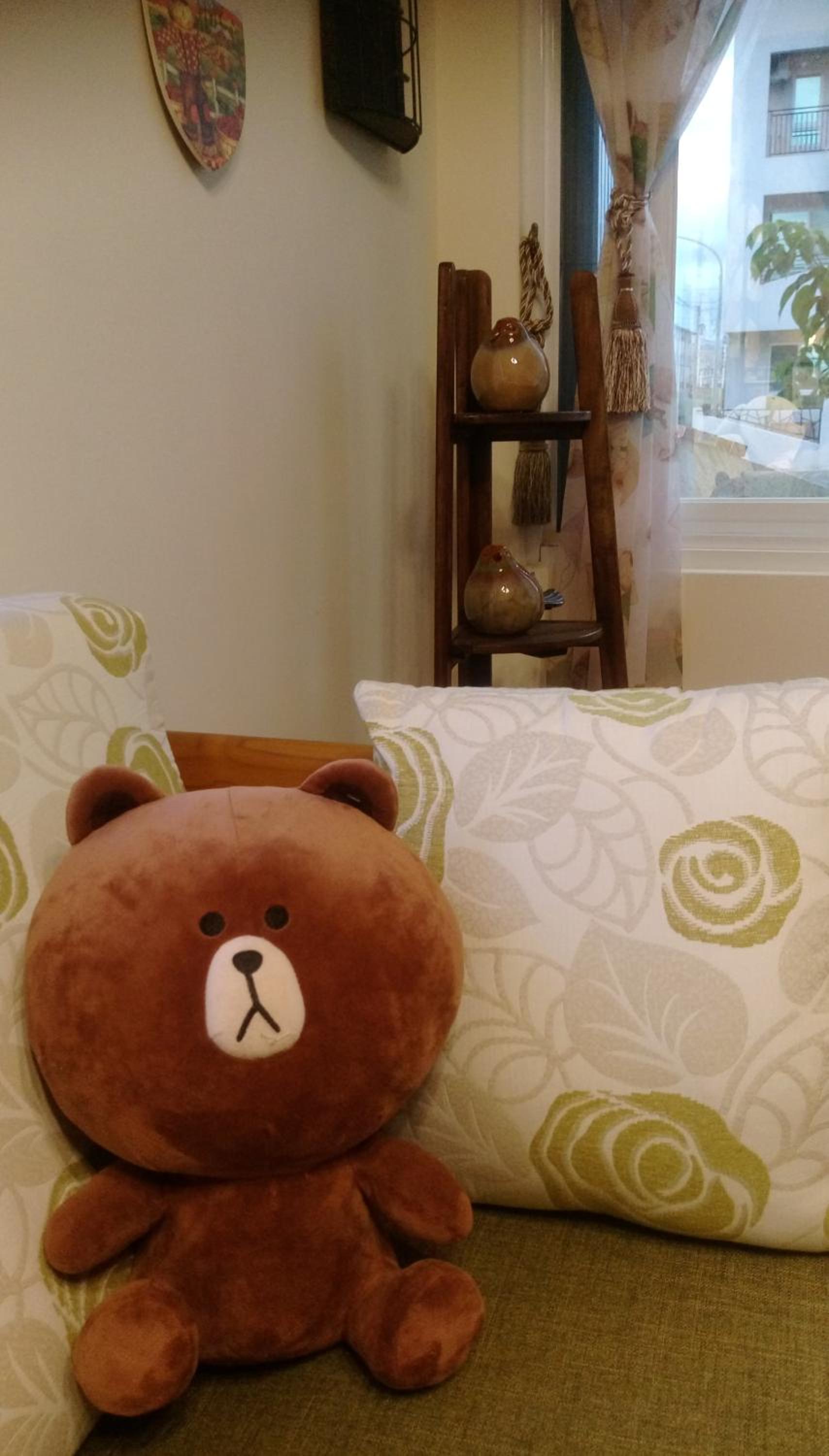 Bear Homestay