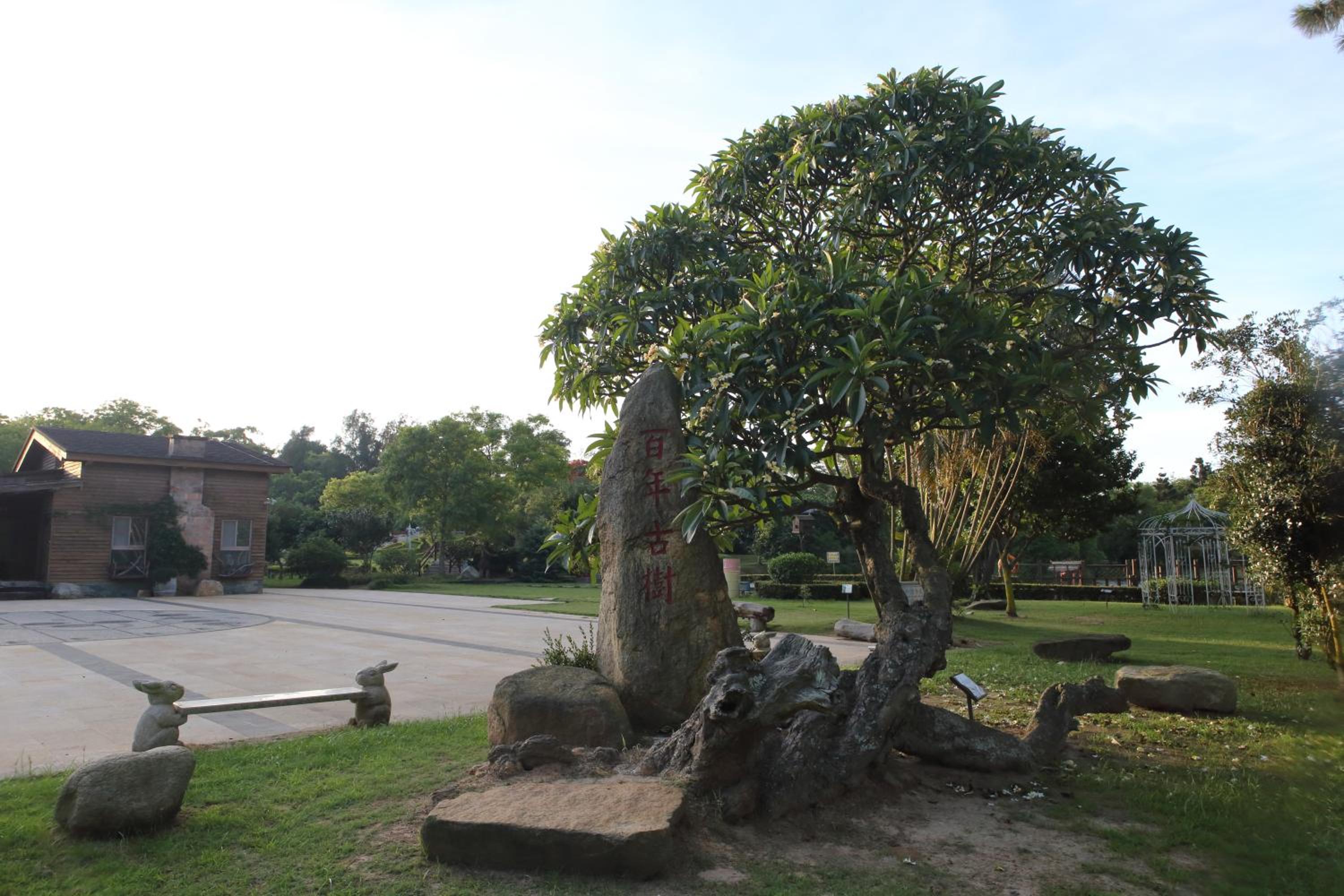 Kimdawn Homestay