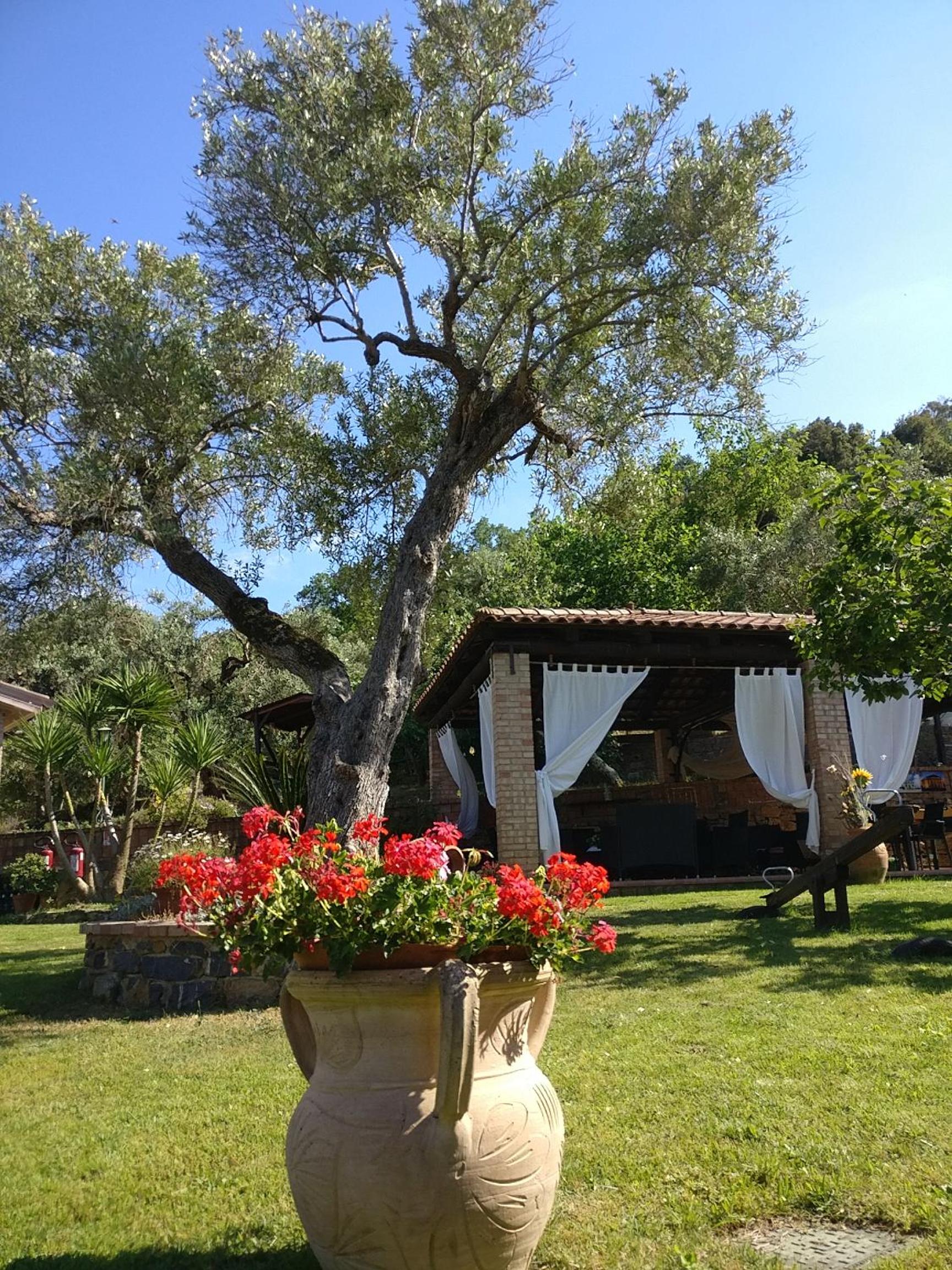 Agriturismo San Giorgio