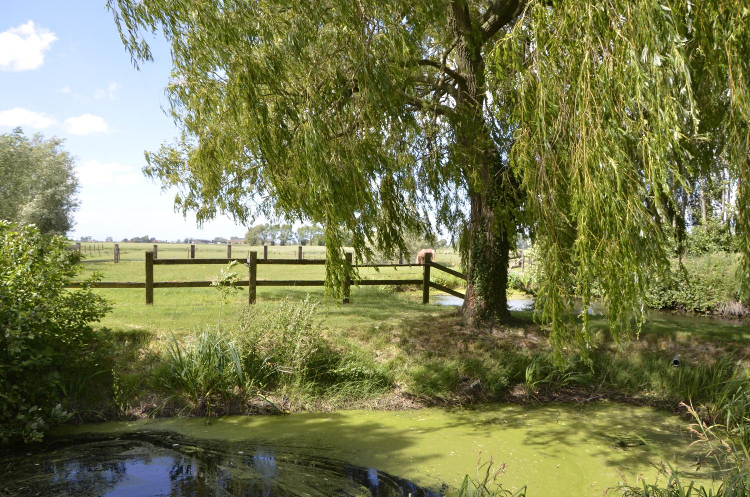 Vakantiewoning Wanderlust