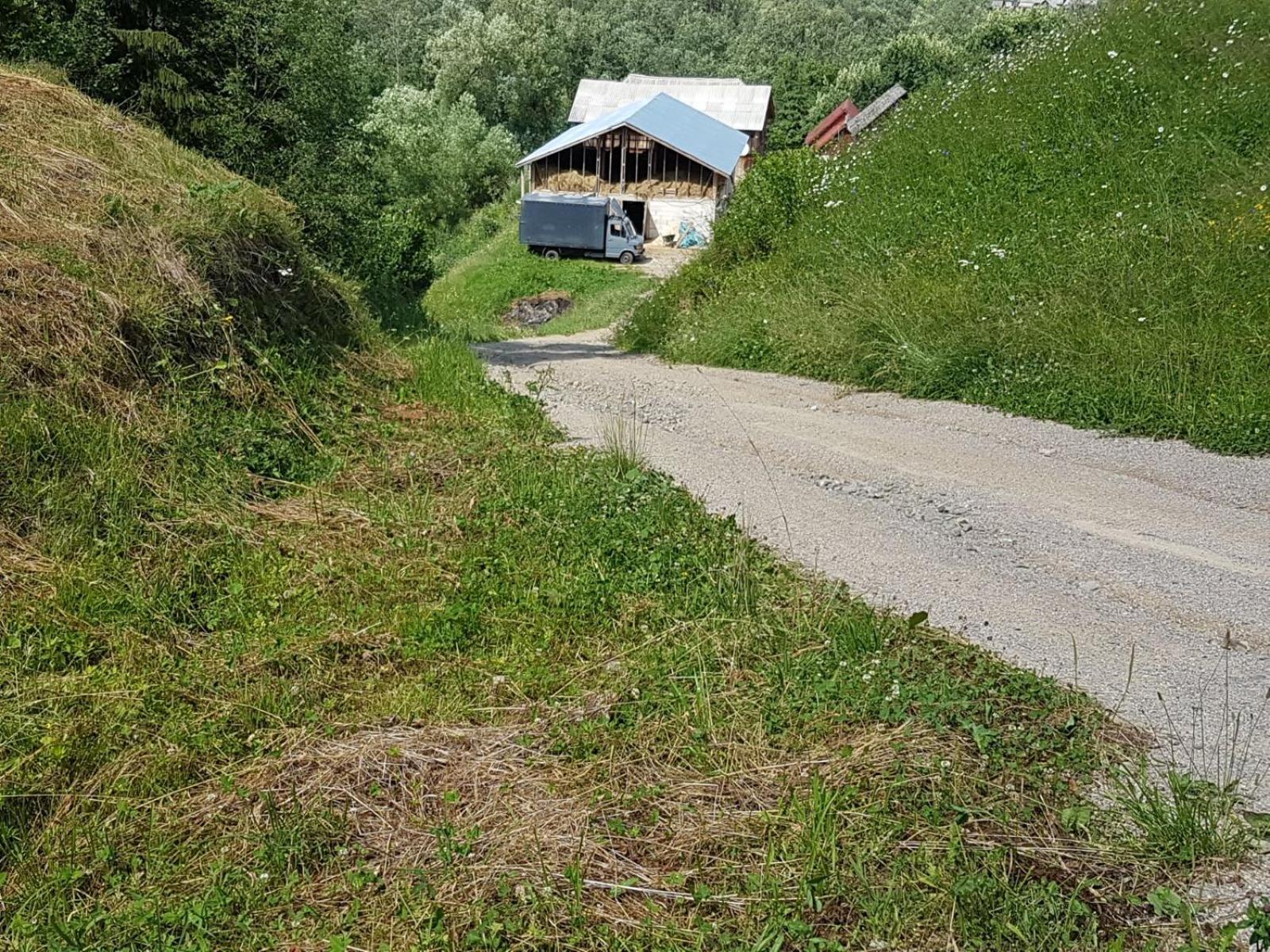 Pensiunea Maria-Bucovina