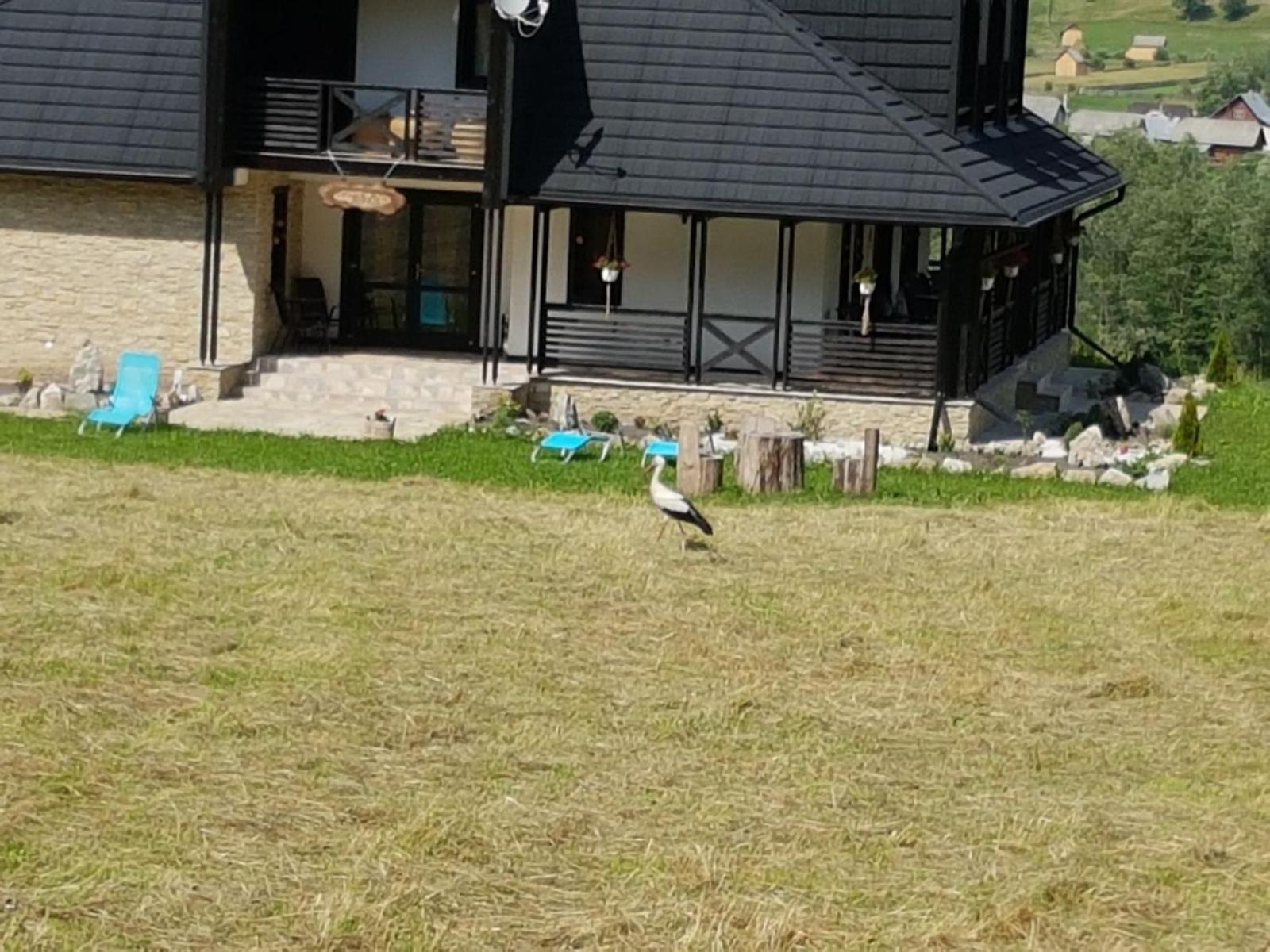 Photo 36