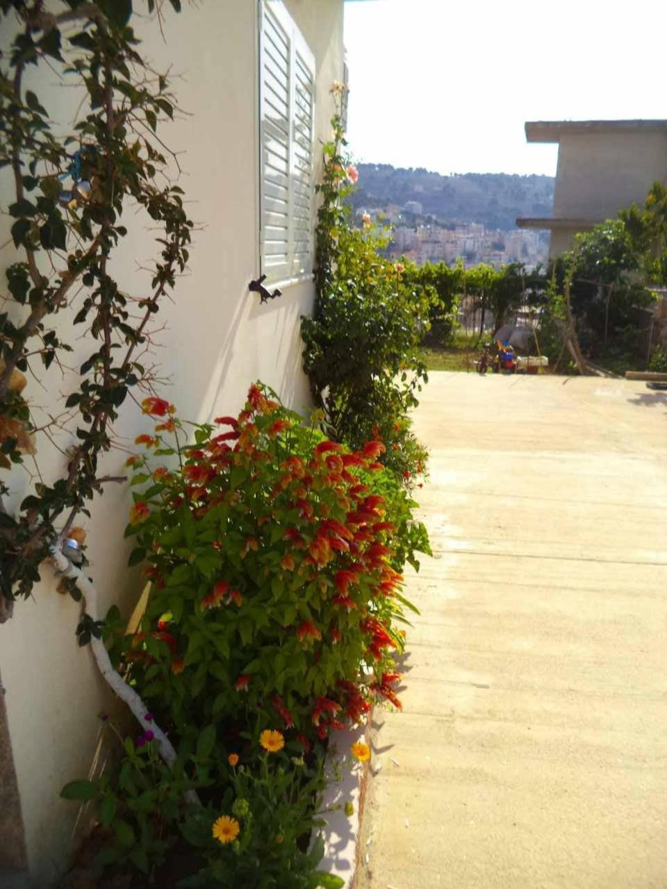 Mariana Apartments