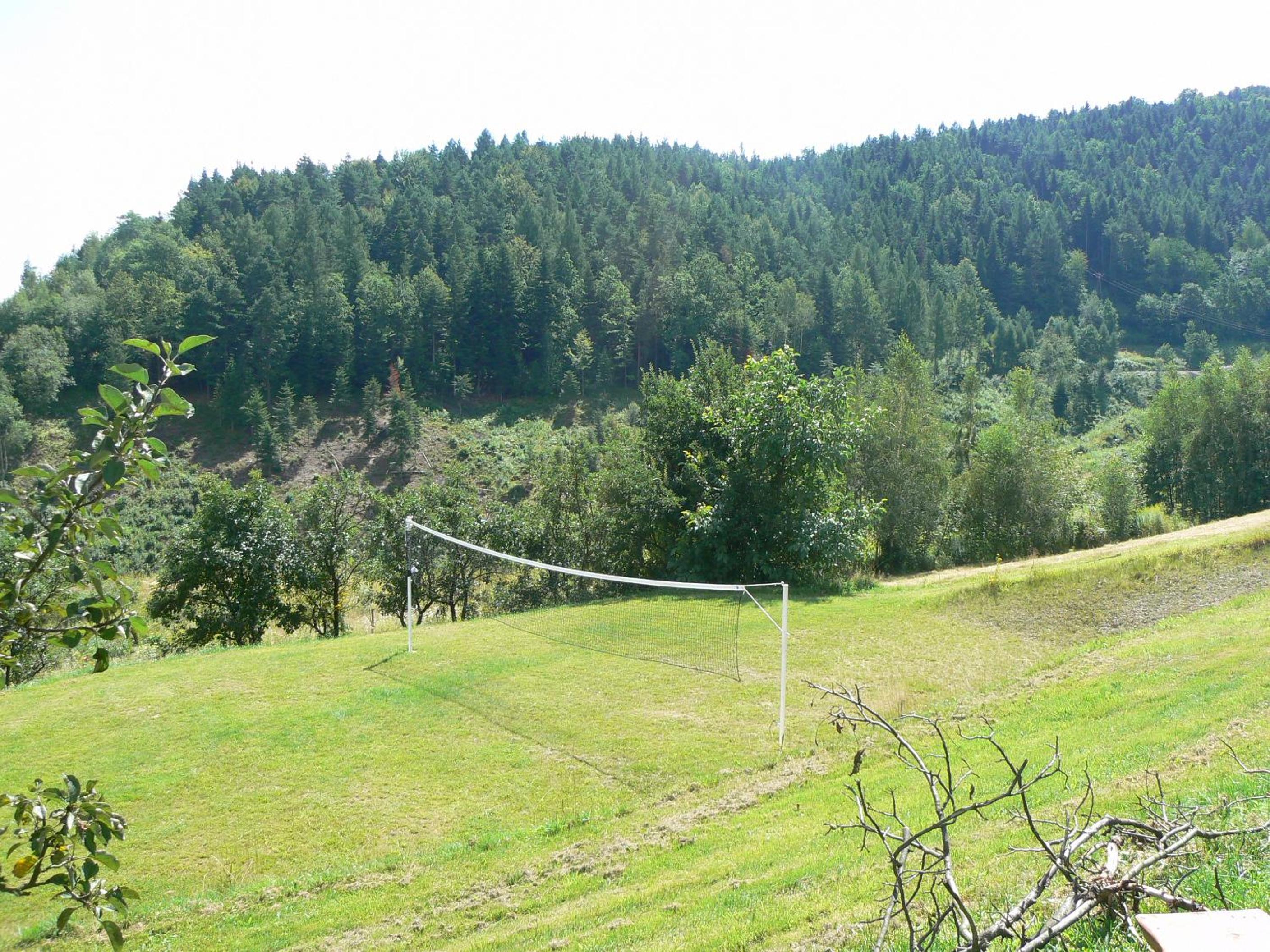 Photo 38