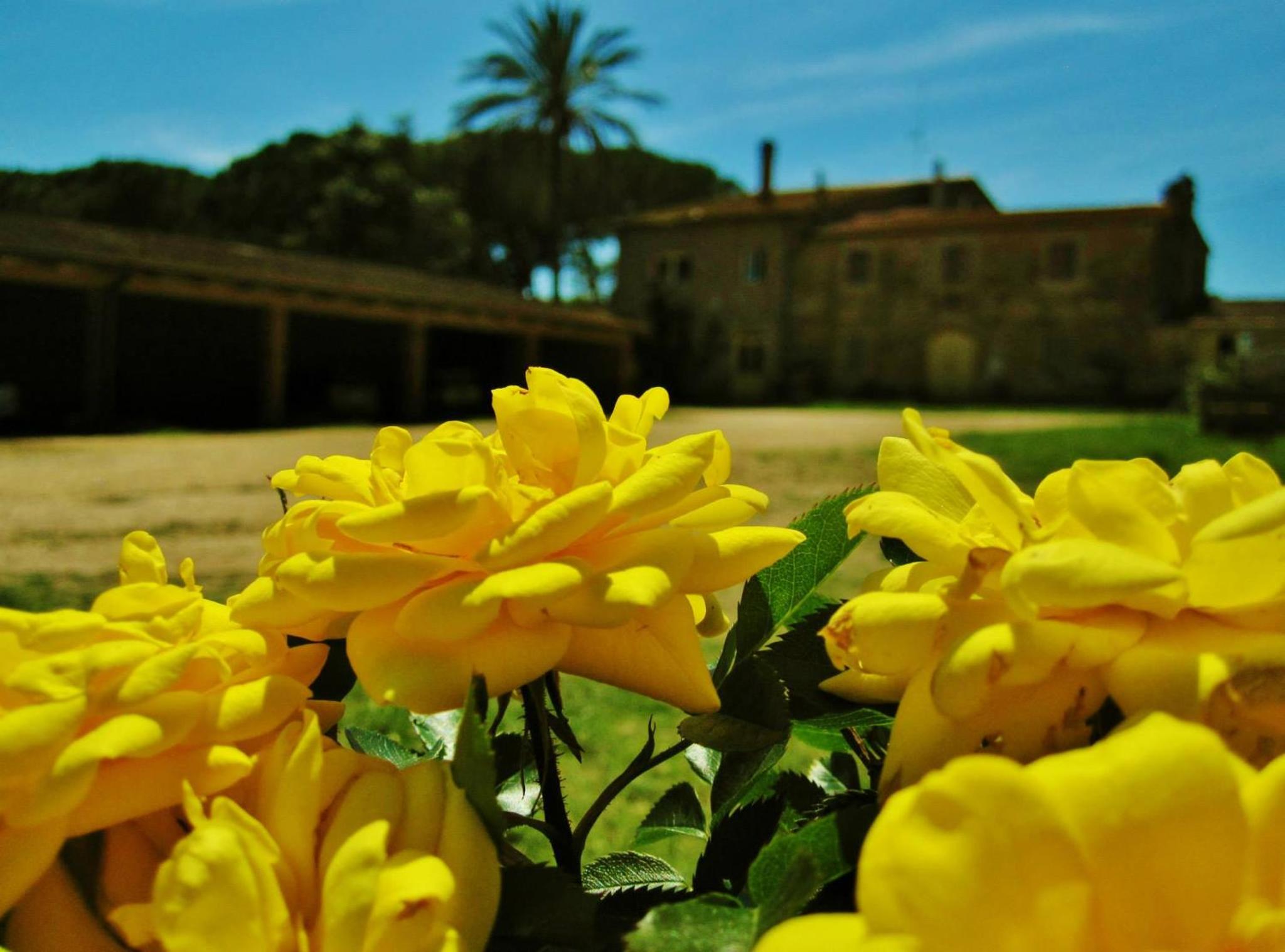 Agriturismo La Valentina Nuova