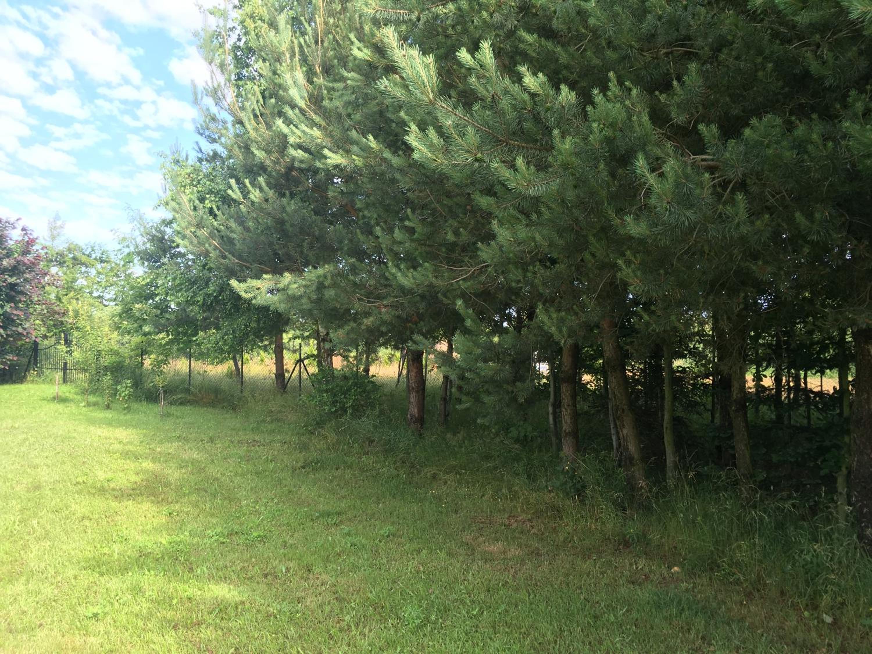 Photo 29