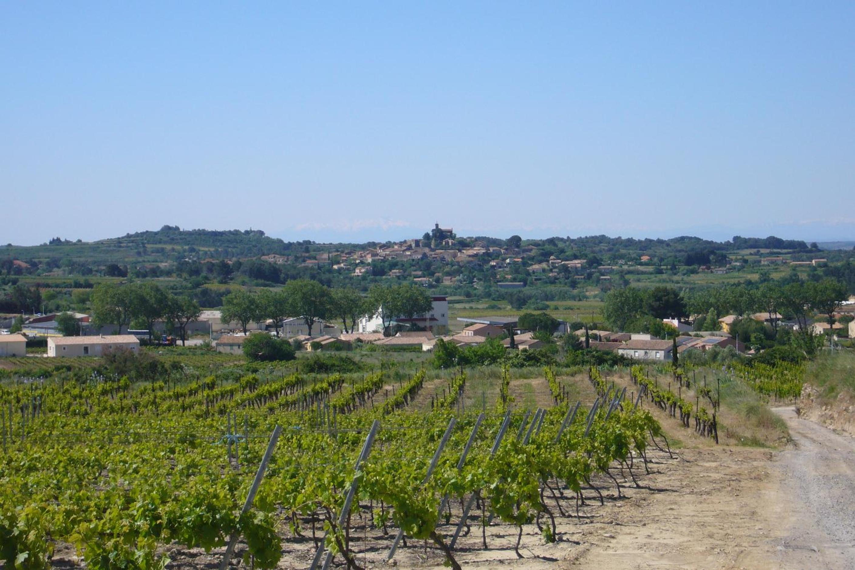 Le Petit Mas du Vigné view 3