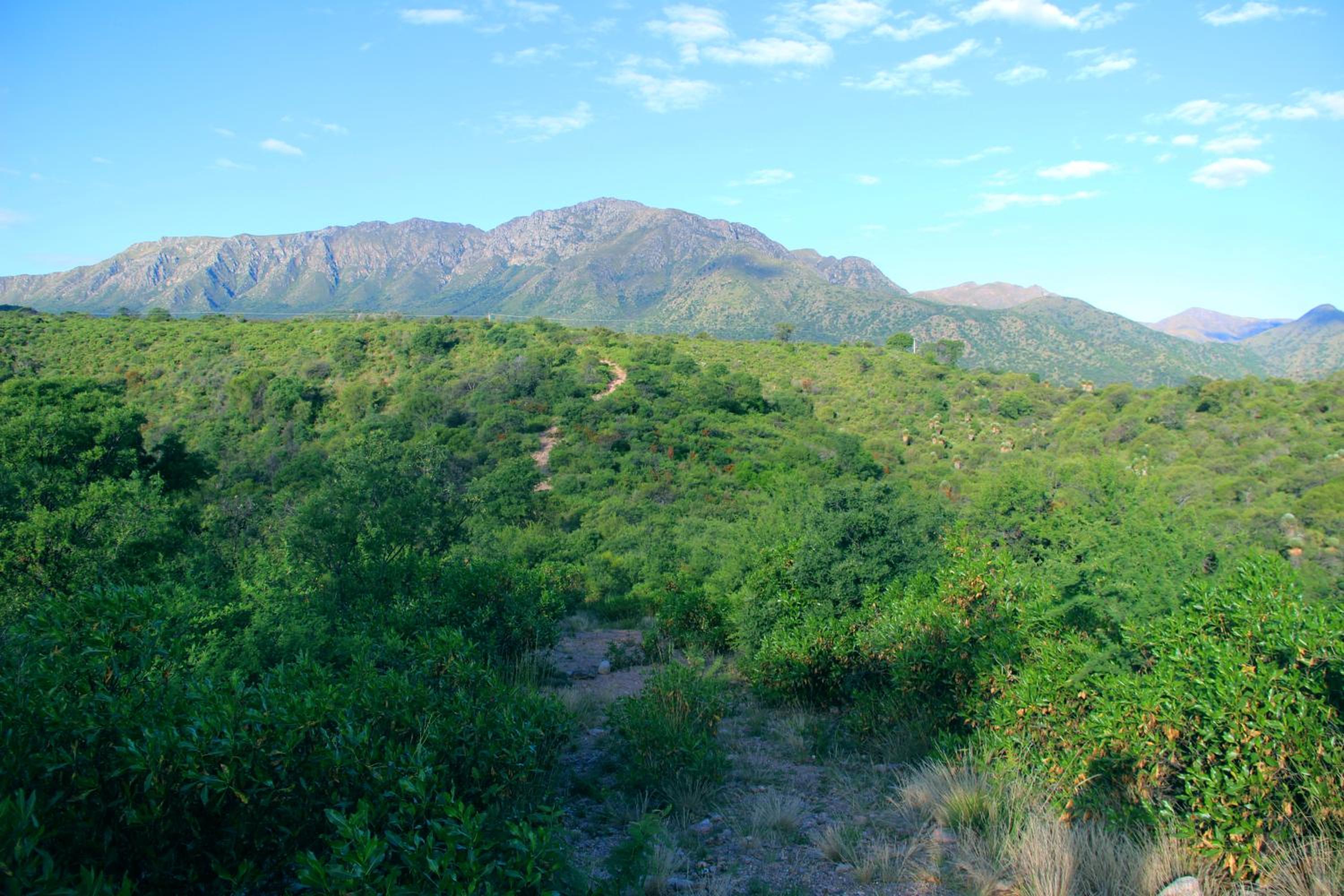 Cabañas El Arcano