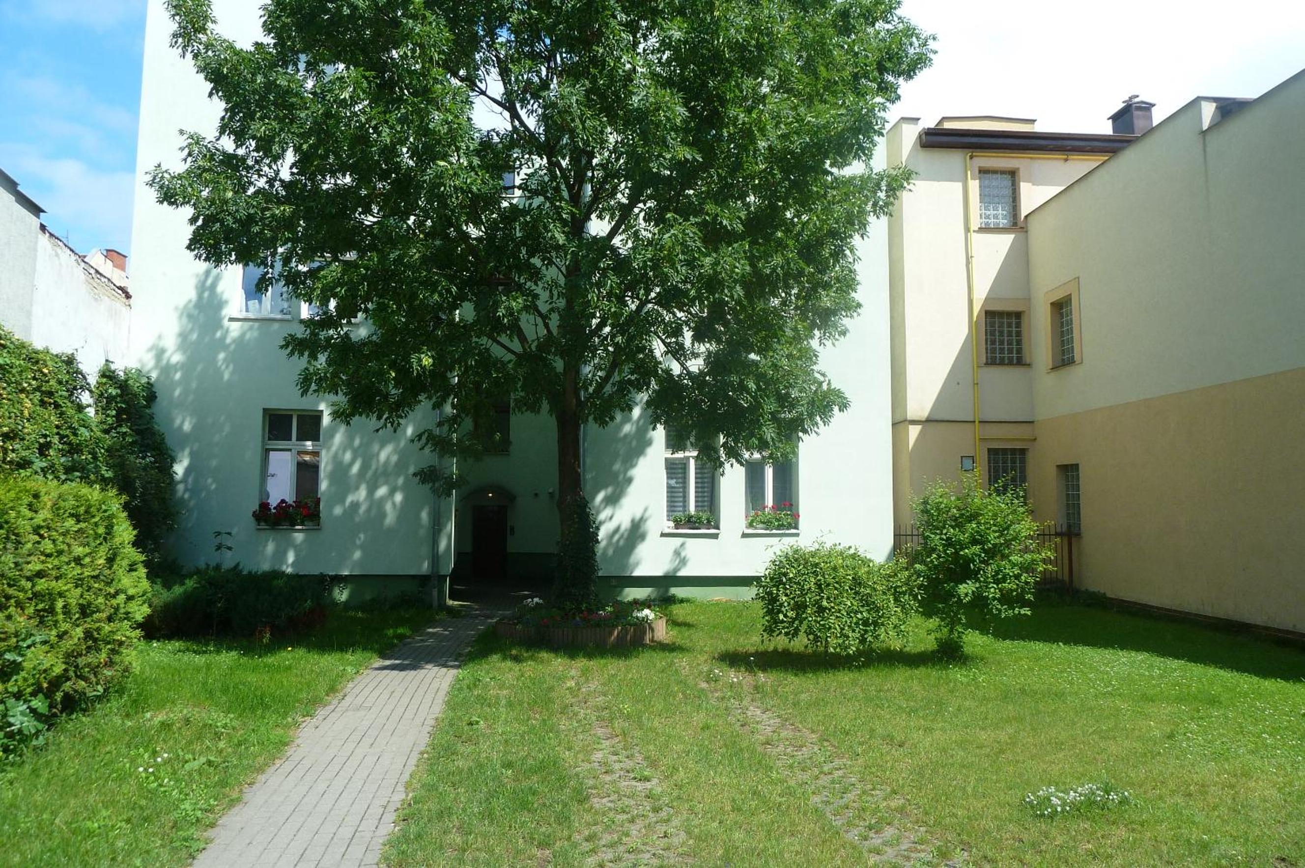 Photo 39