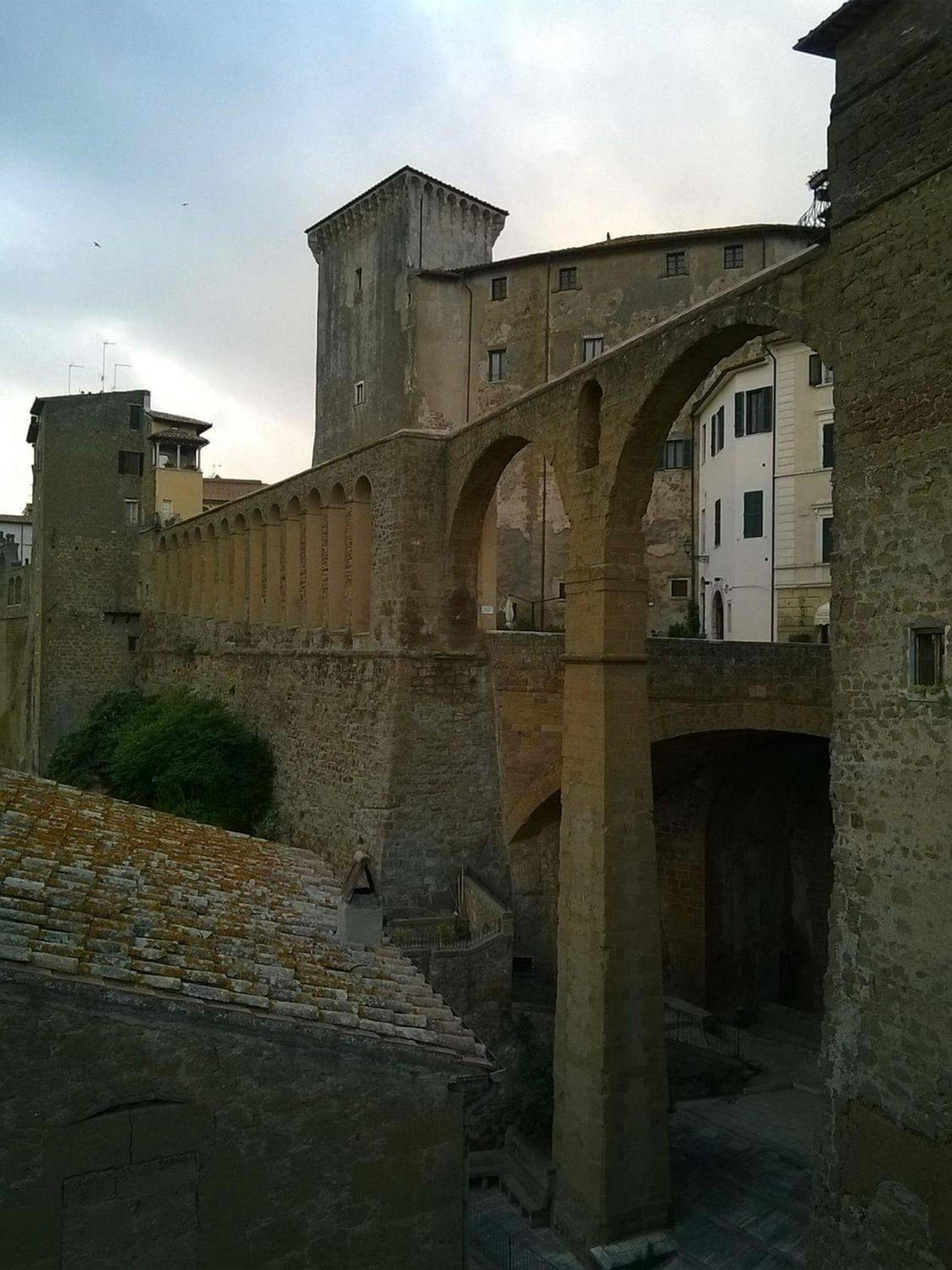 Photo 26