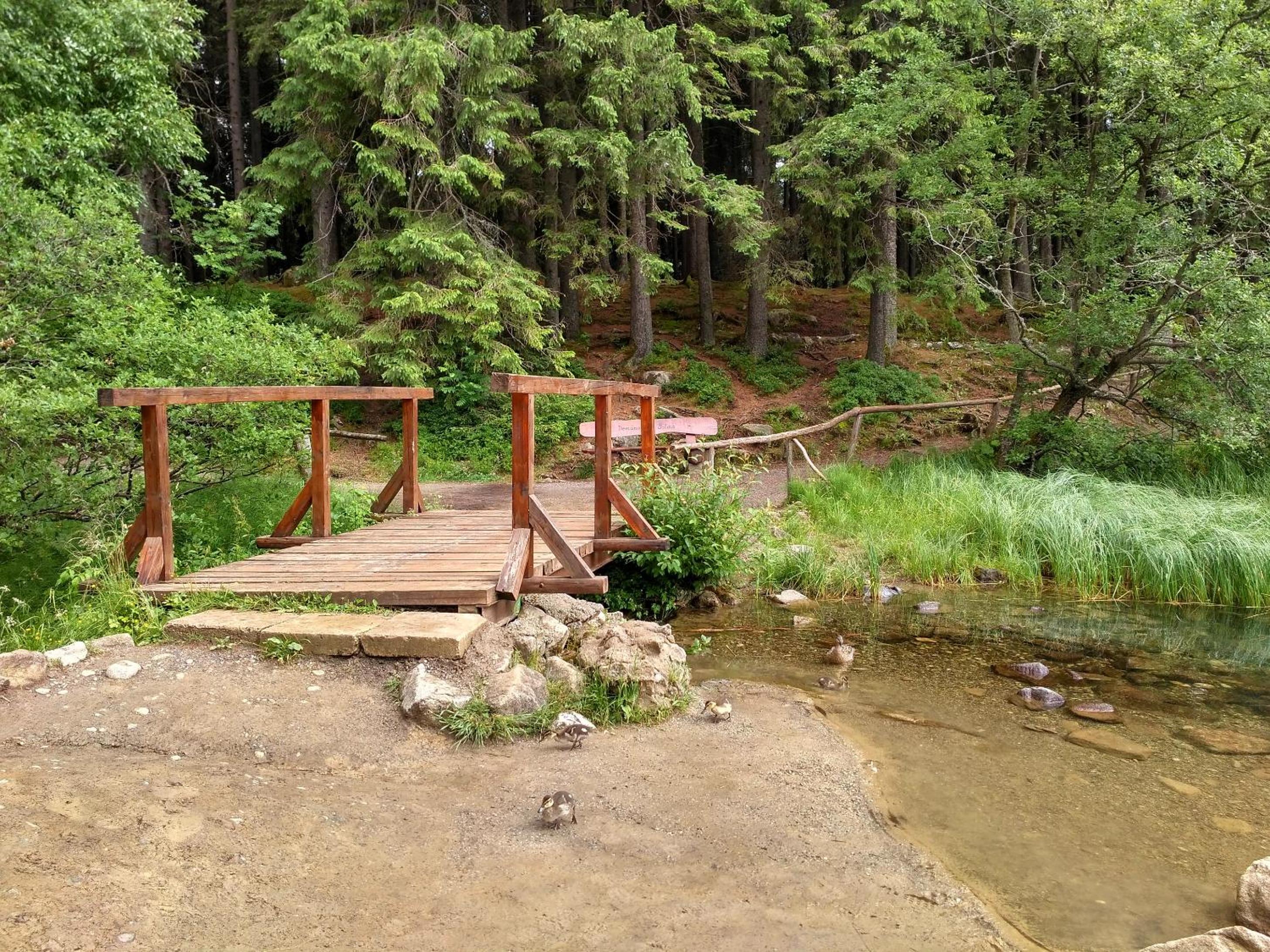 Photo 26