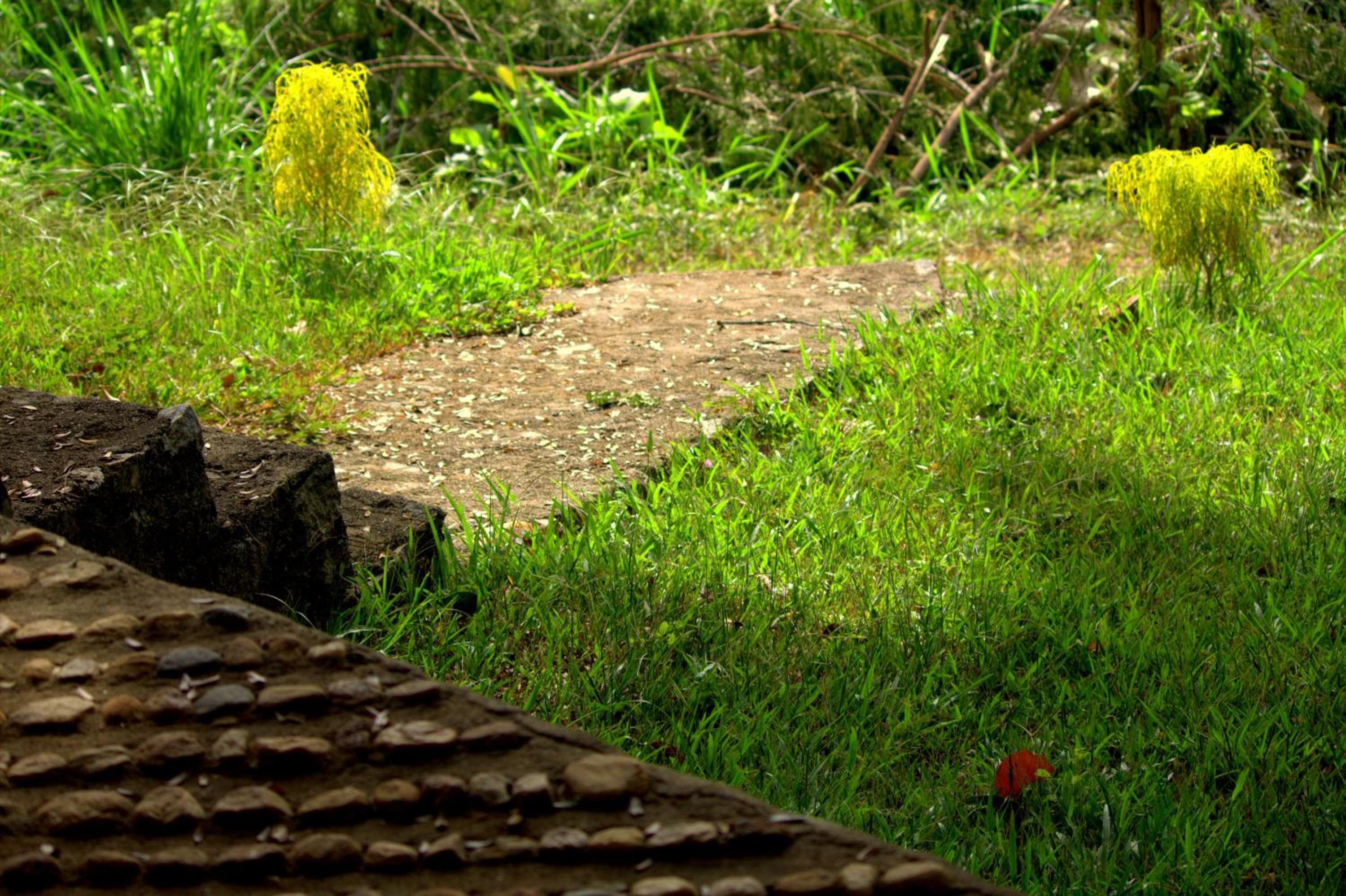 Photo 25
