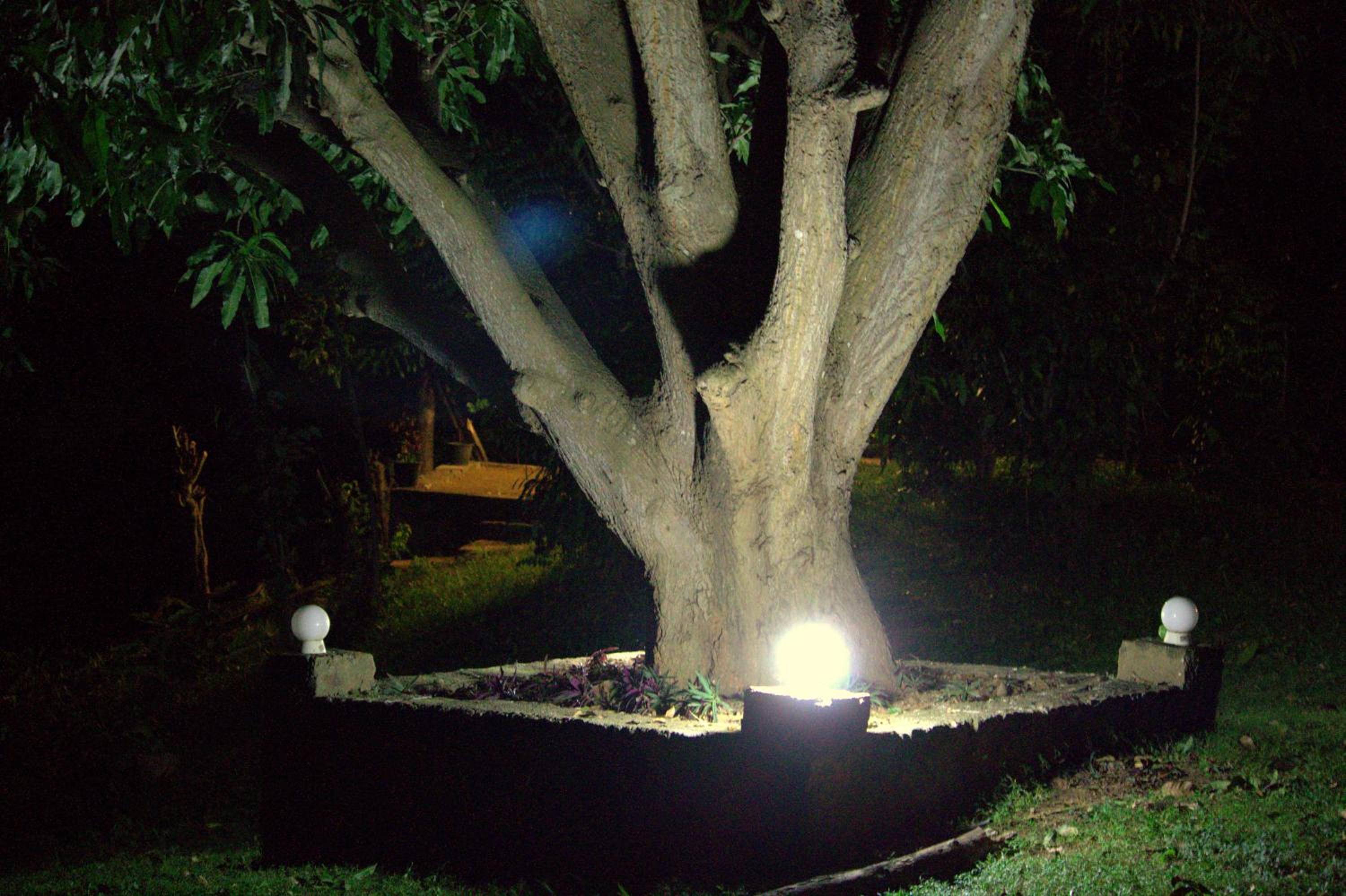 Photo 31
