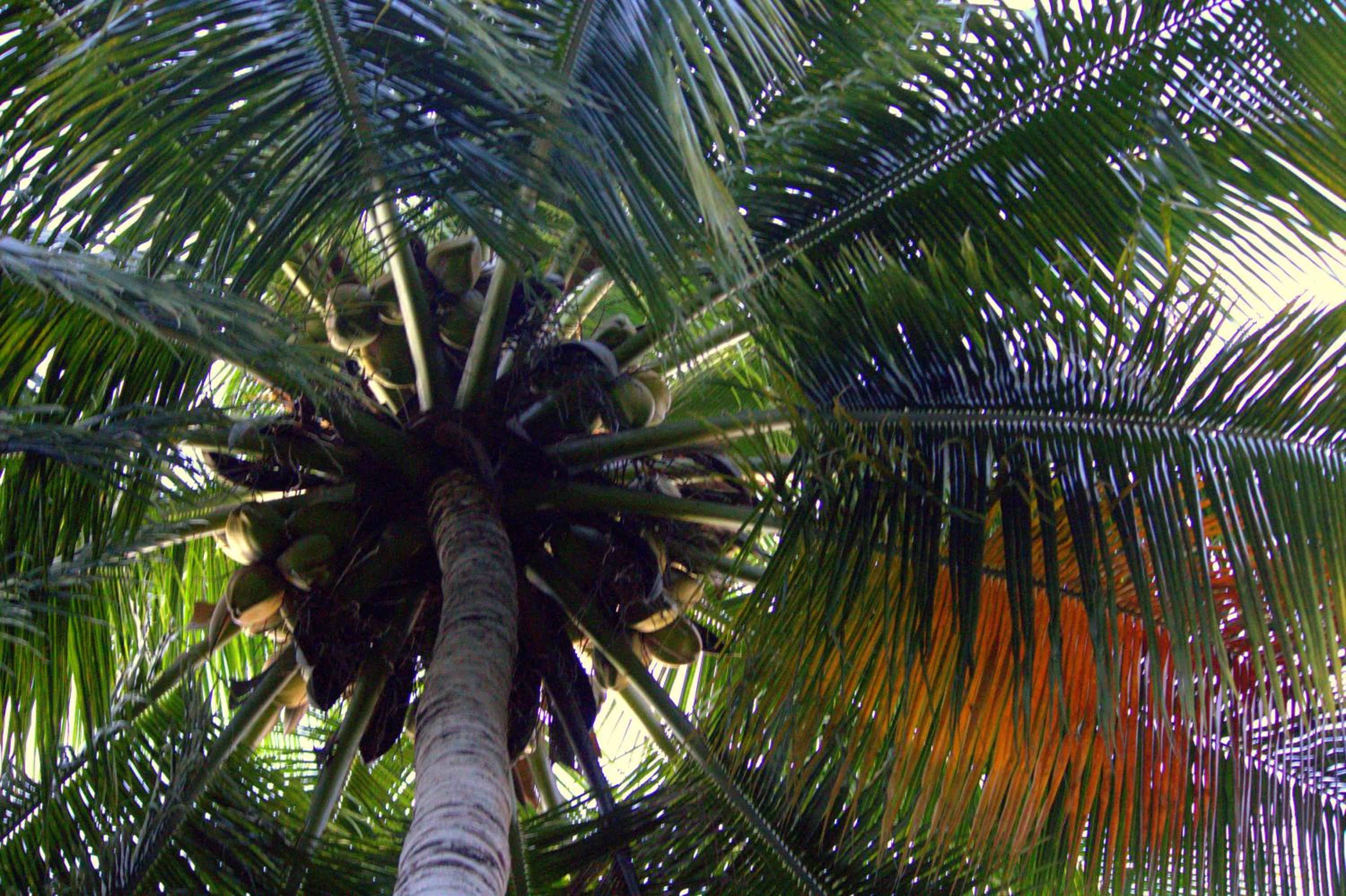 Photo 45