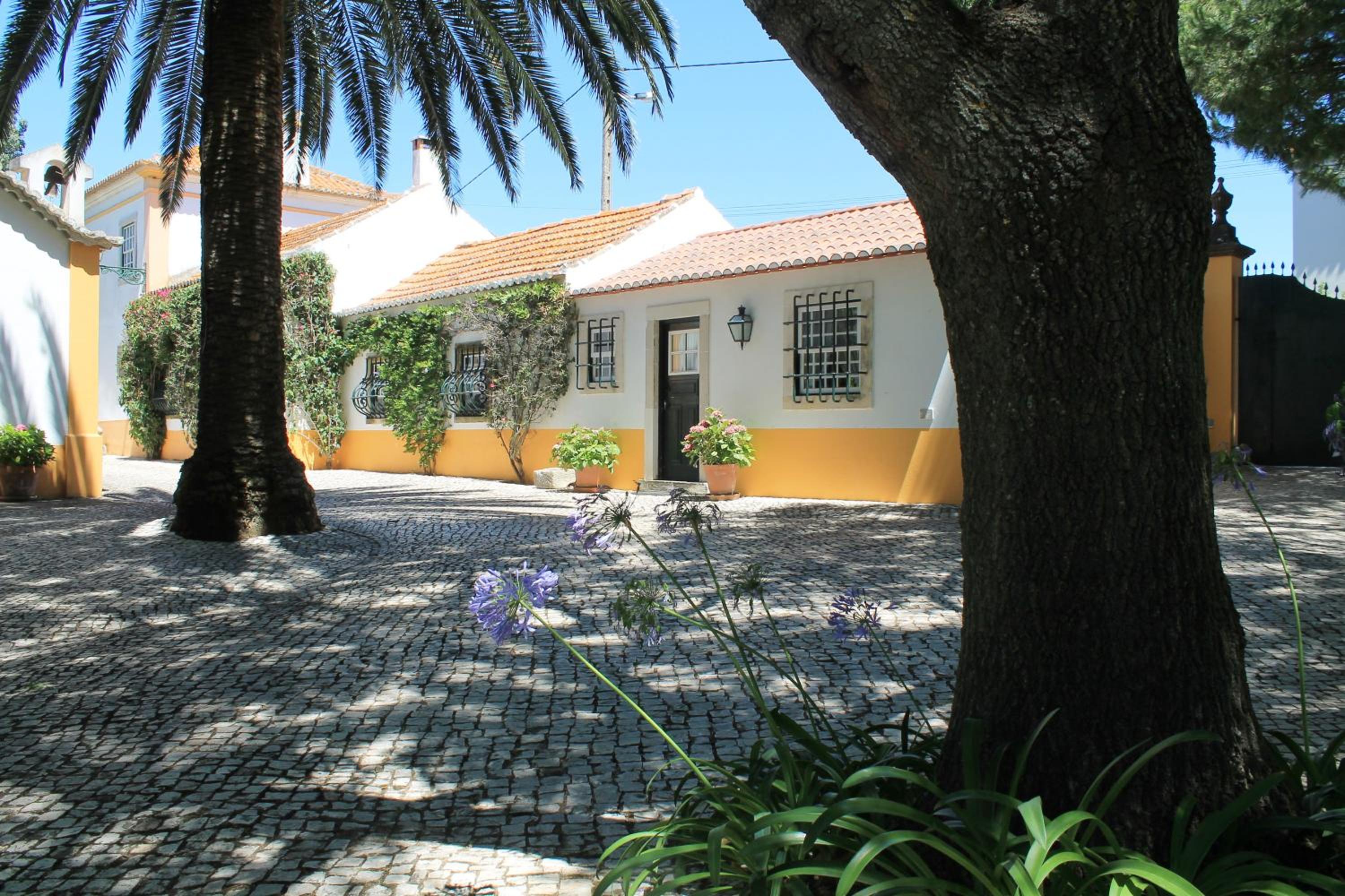 Quinta do Casal de Santo António view 2