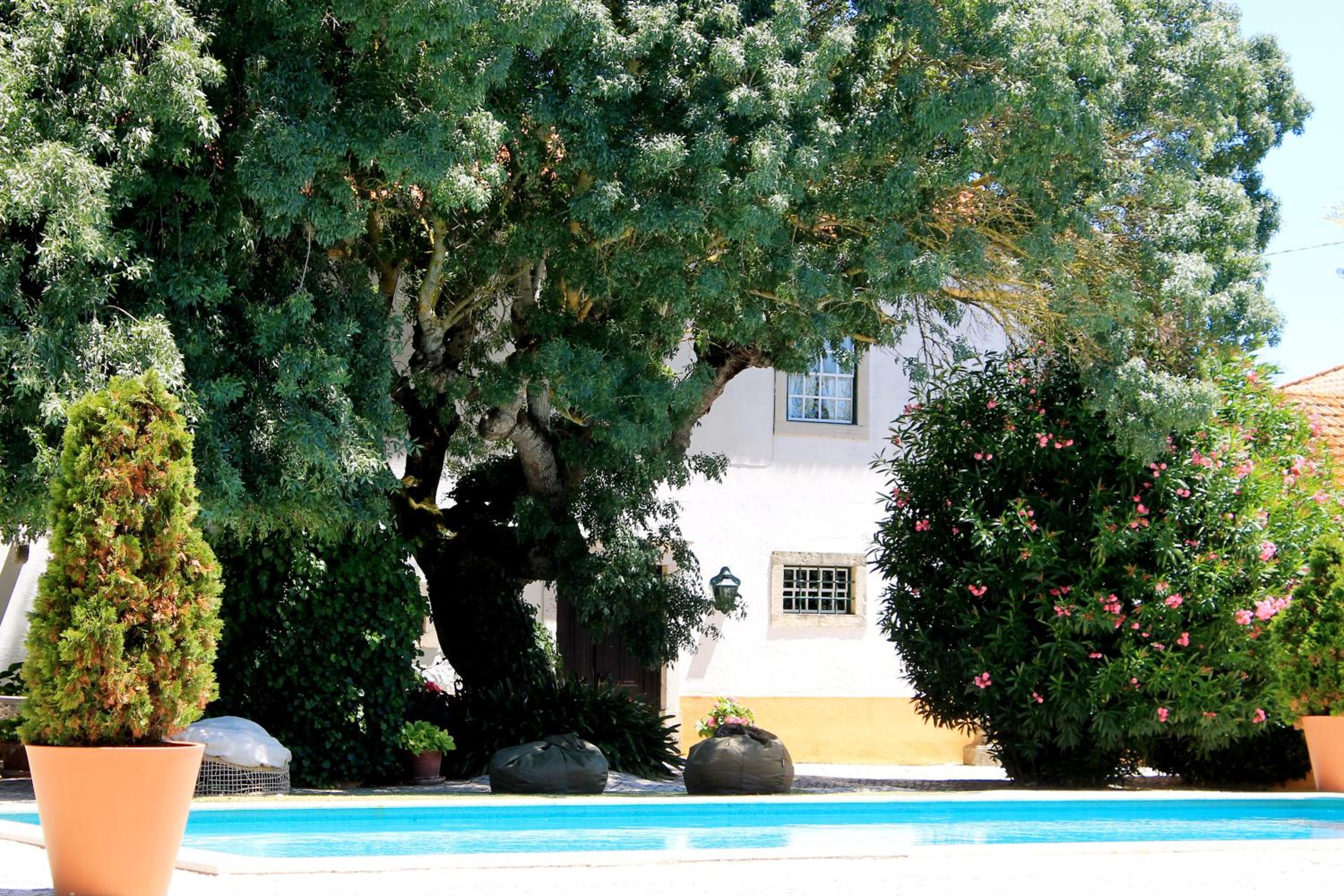 Quinta do Casal de Santo António view 4