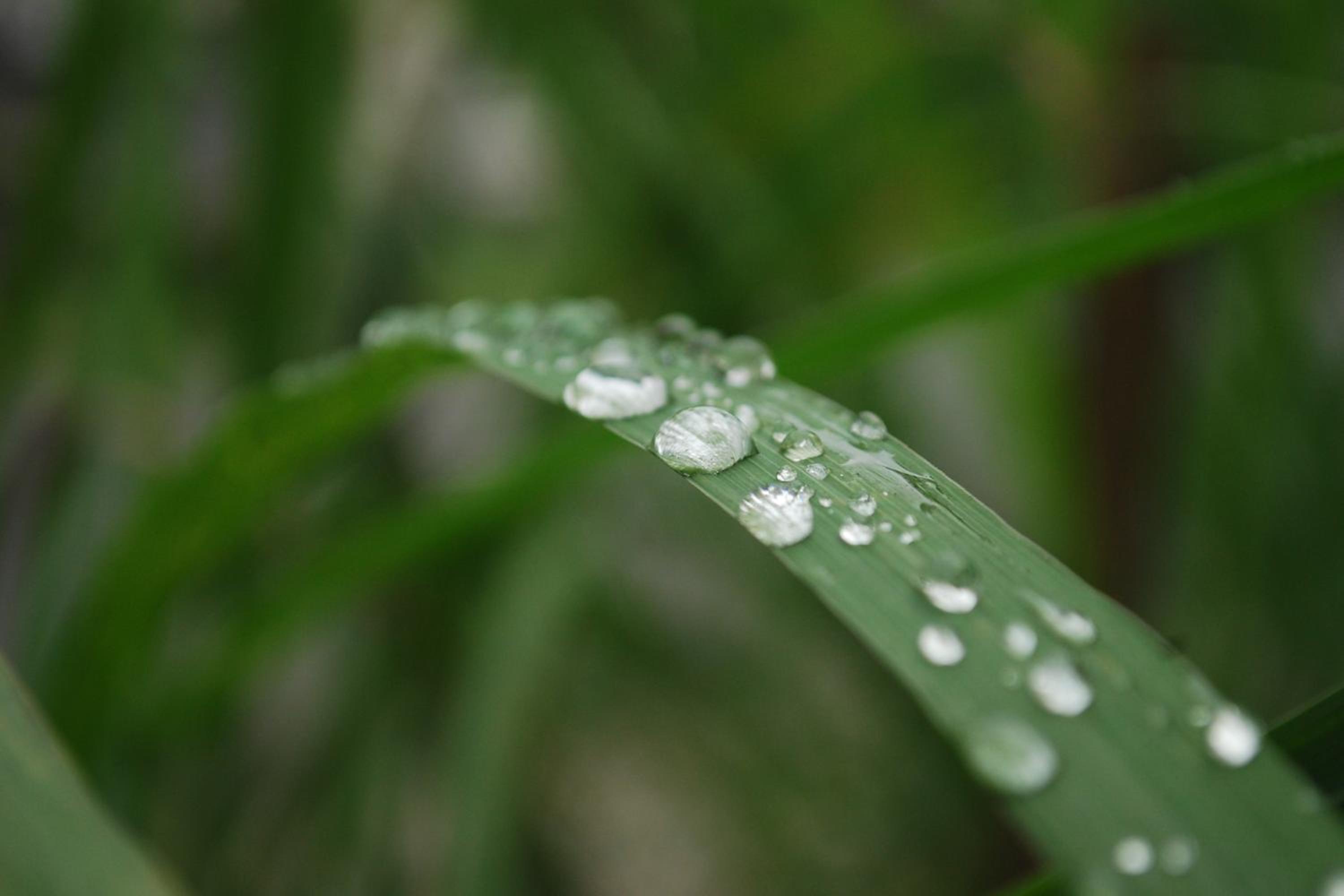 Photo 37