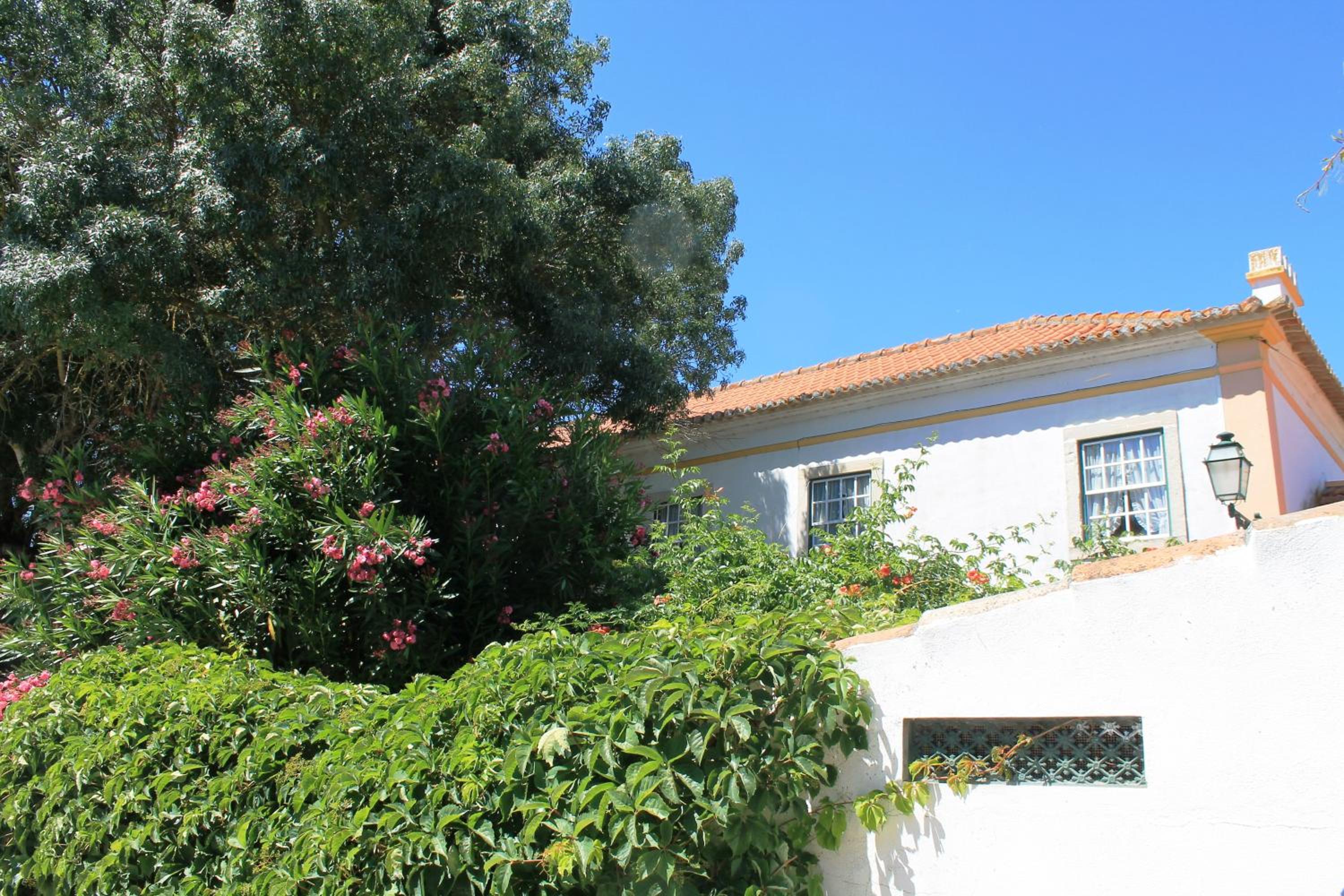 Quinta do Casal de Santo António view 5
