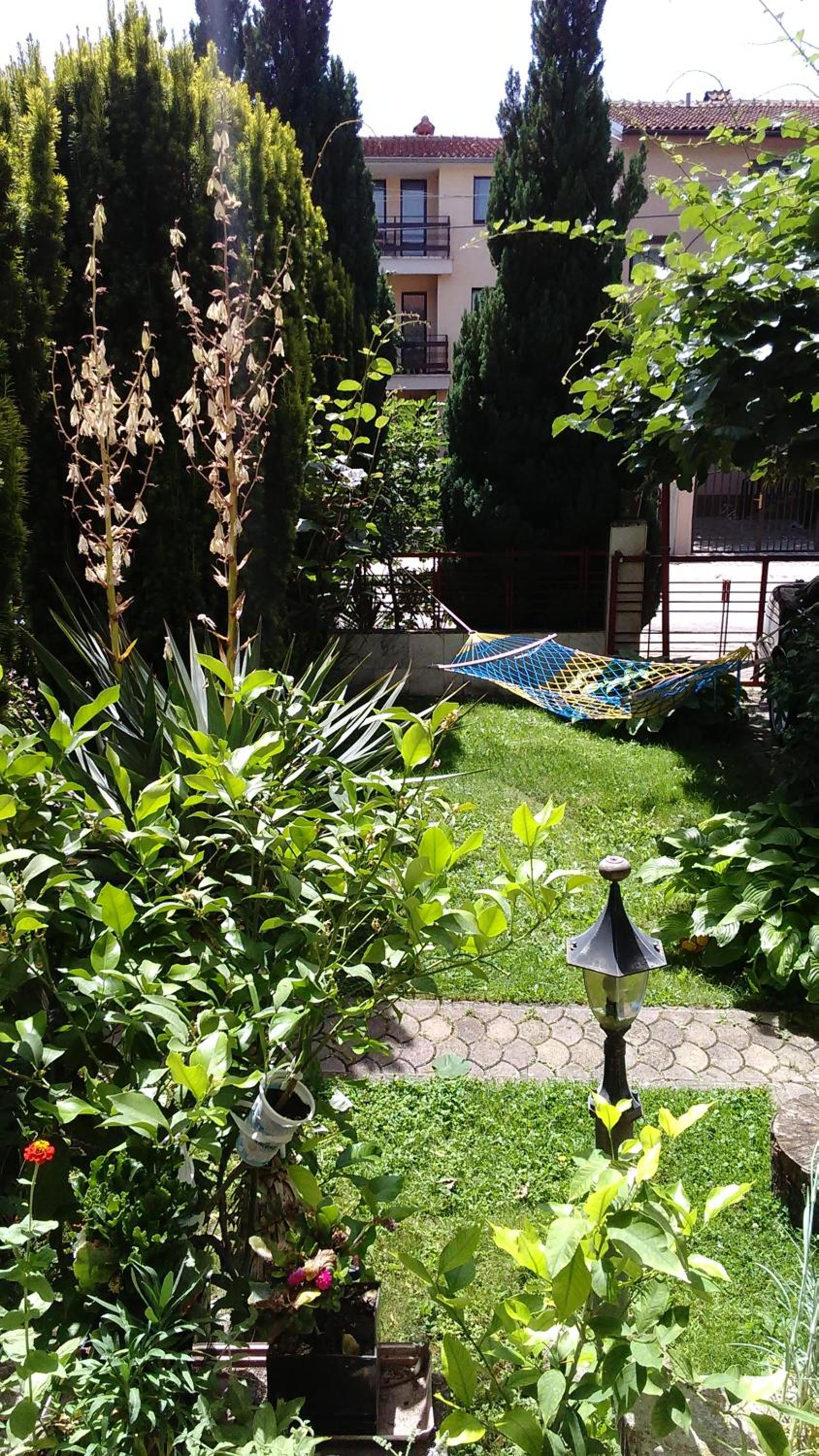 Teo Apartments