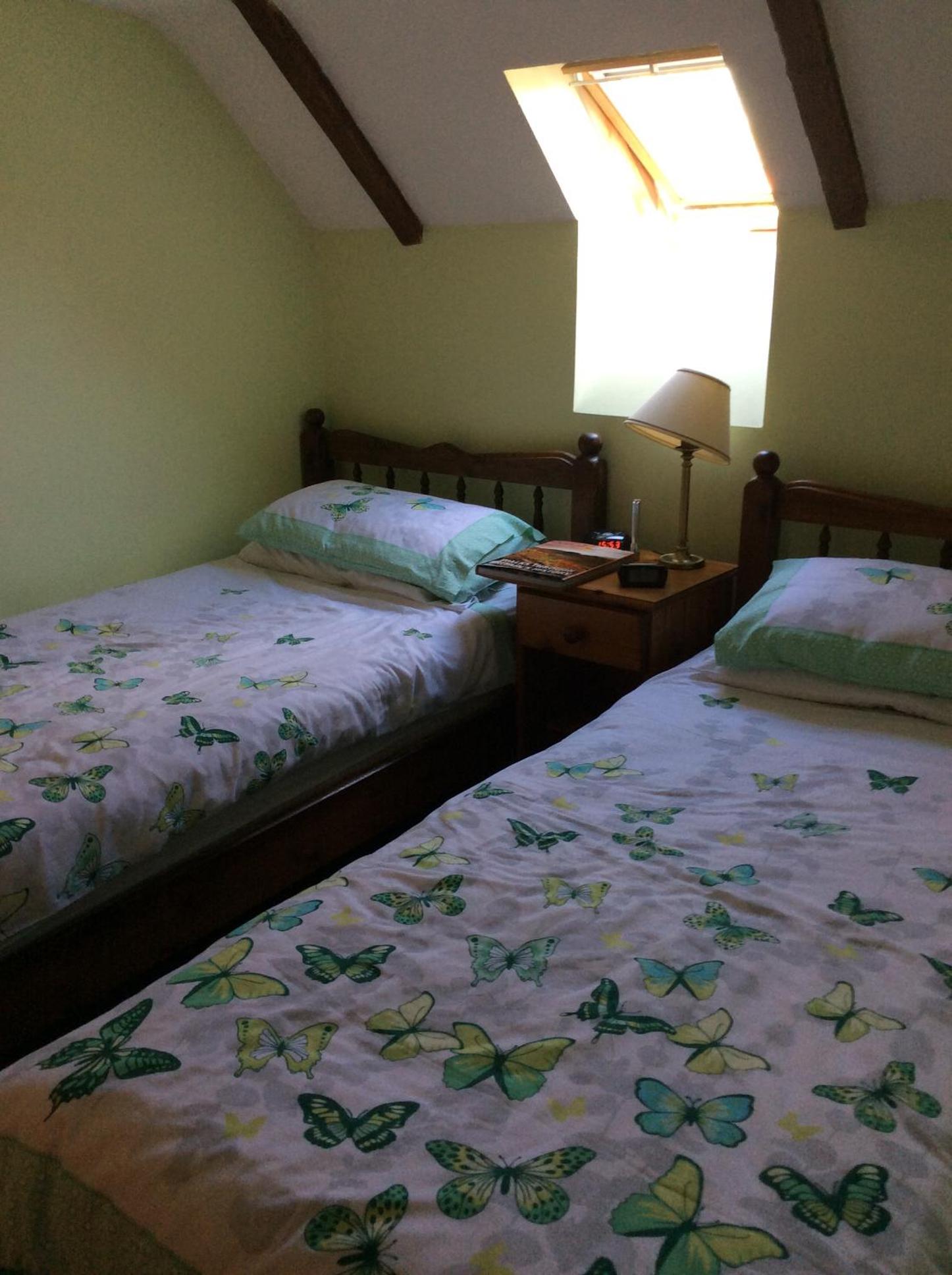 Photo 15