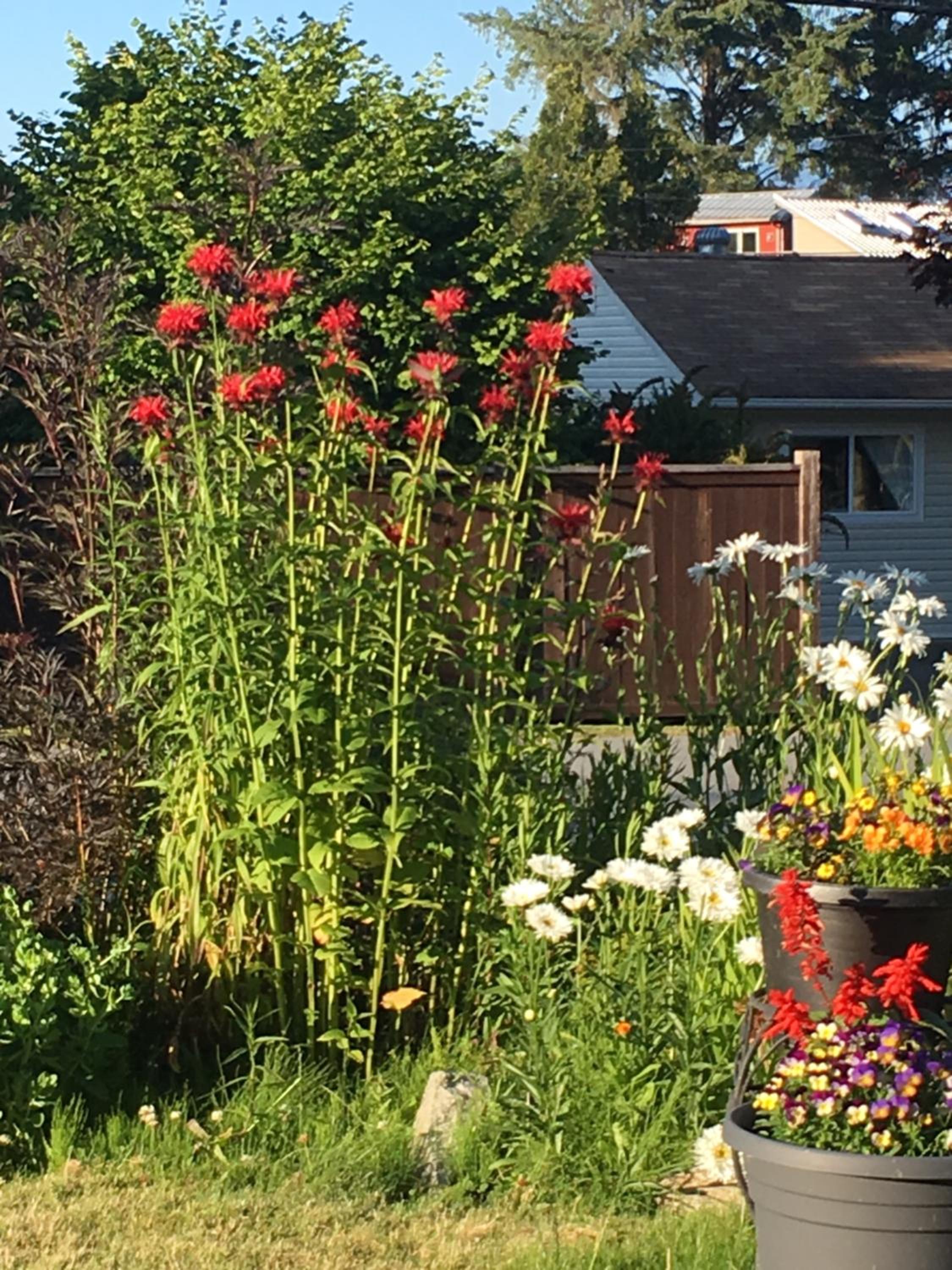Gibsons Harbour Retreat