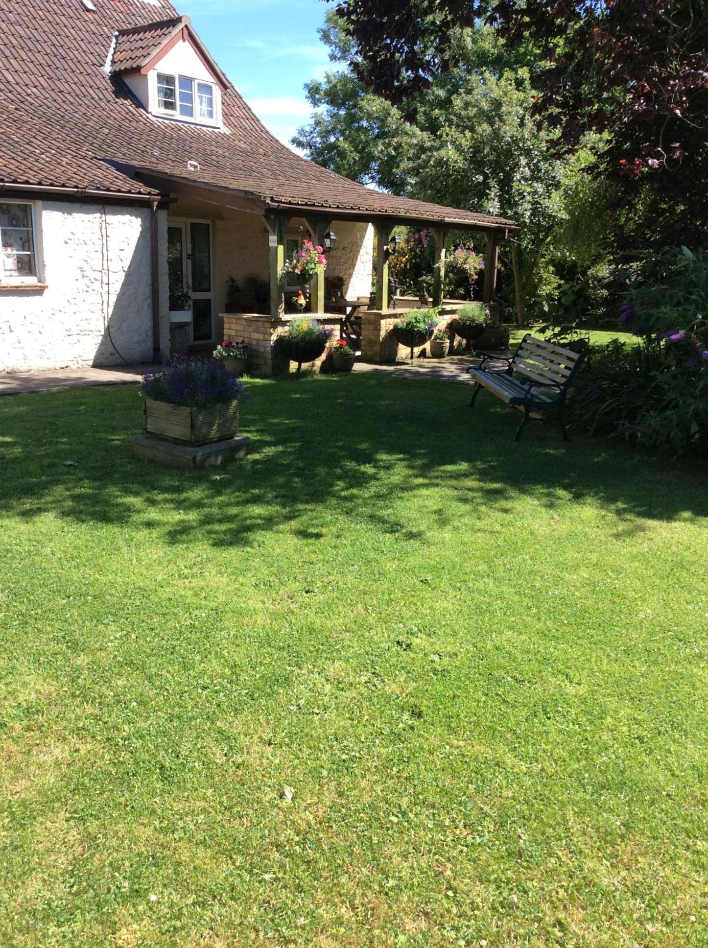 Photo 8