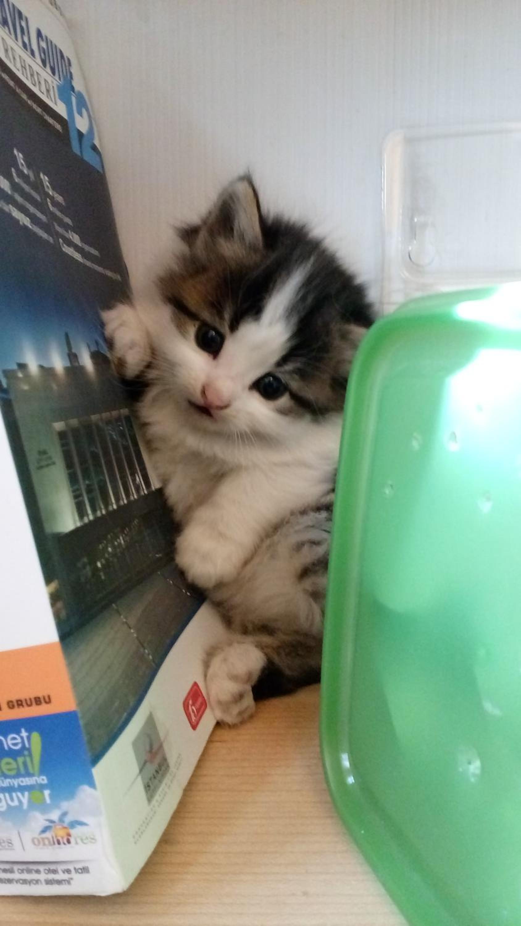 Karadut Cave Hotel - Image 31