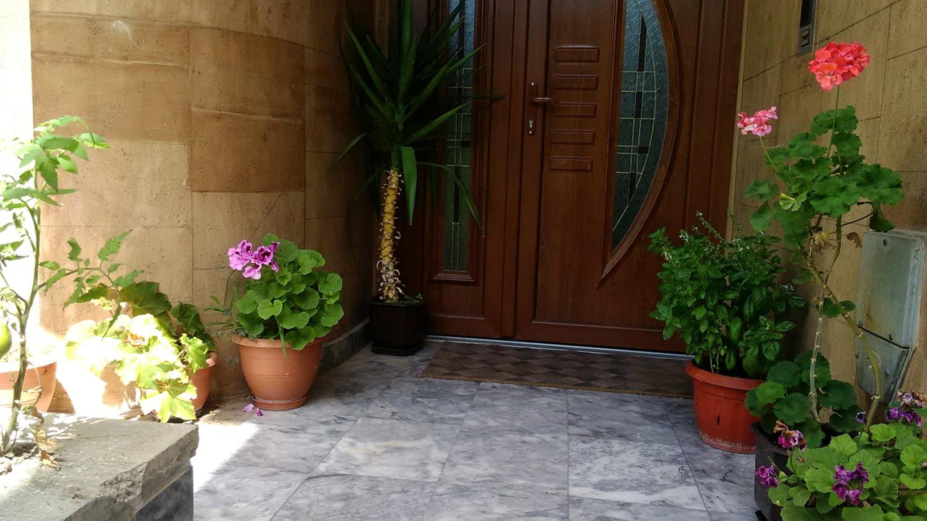 Teo Apartments