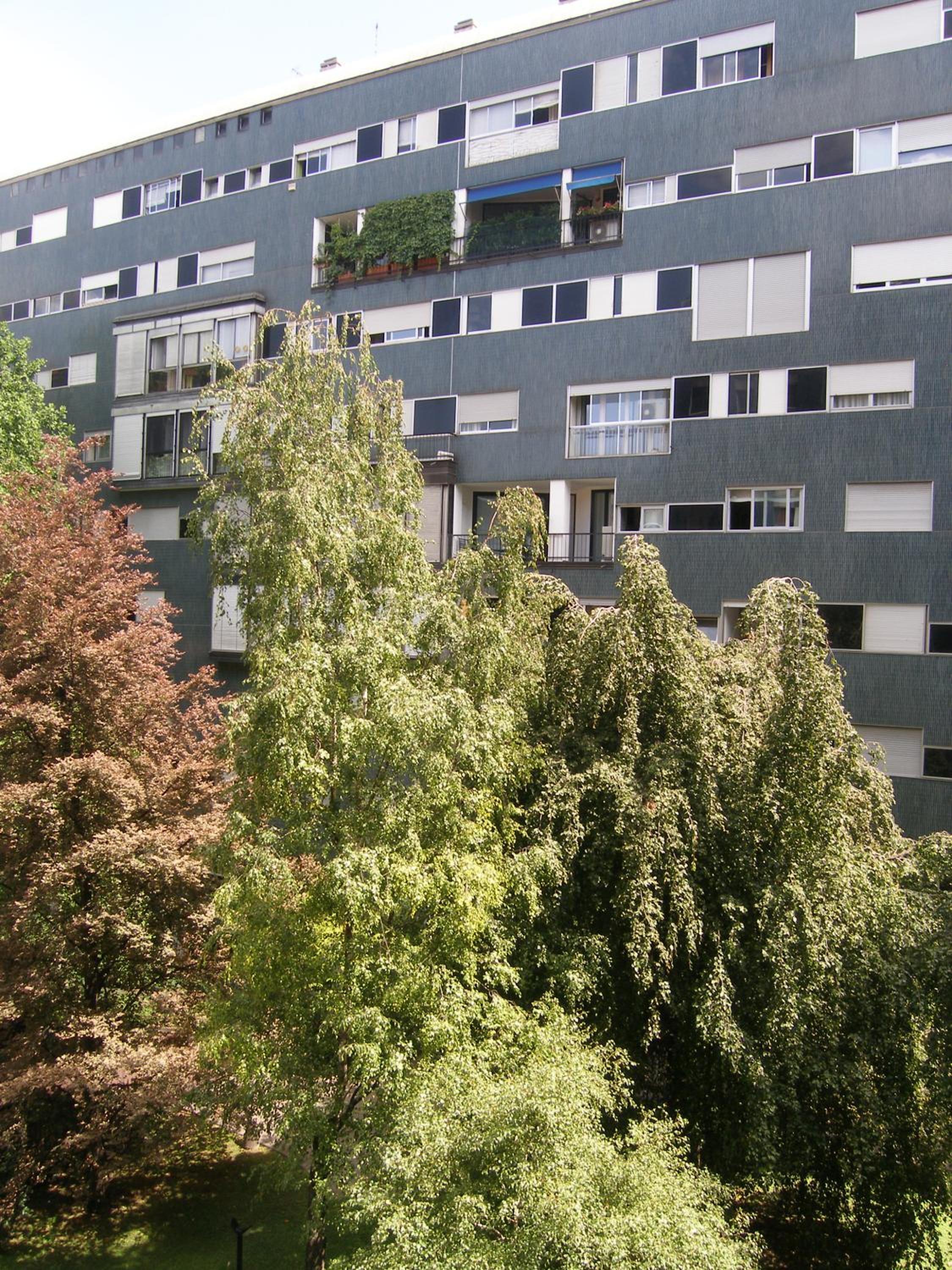 Luminous stylish quiet 150m2, Tre Torri