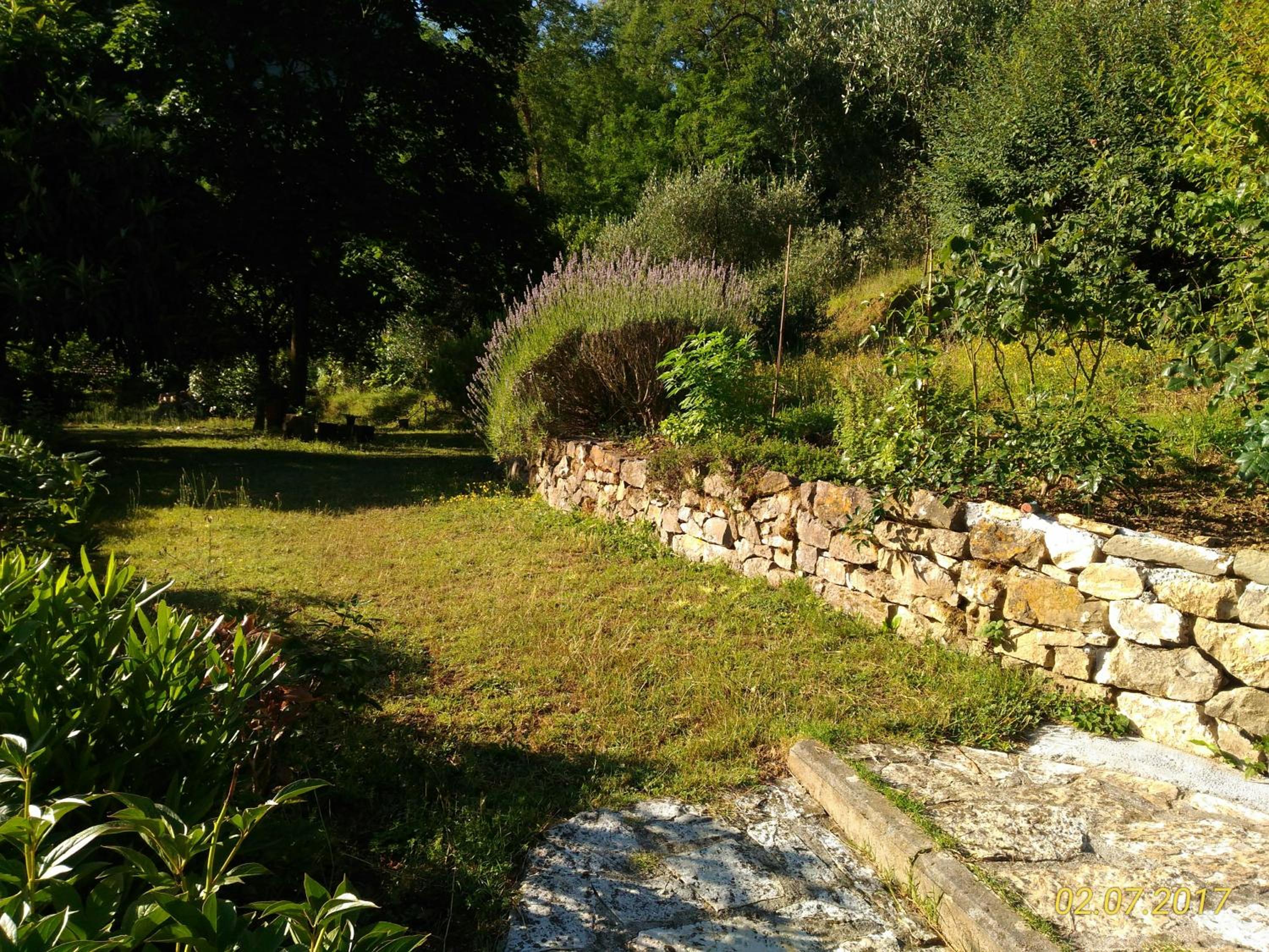 Photo 38
