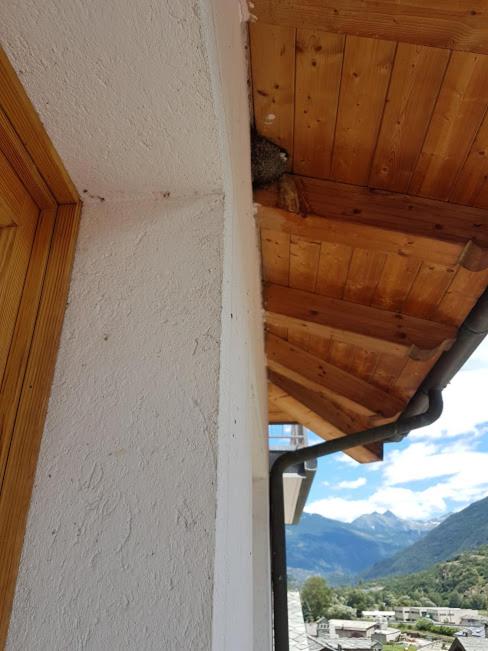Casa chanoux photo 5