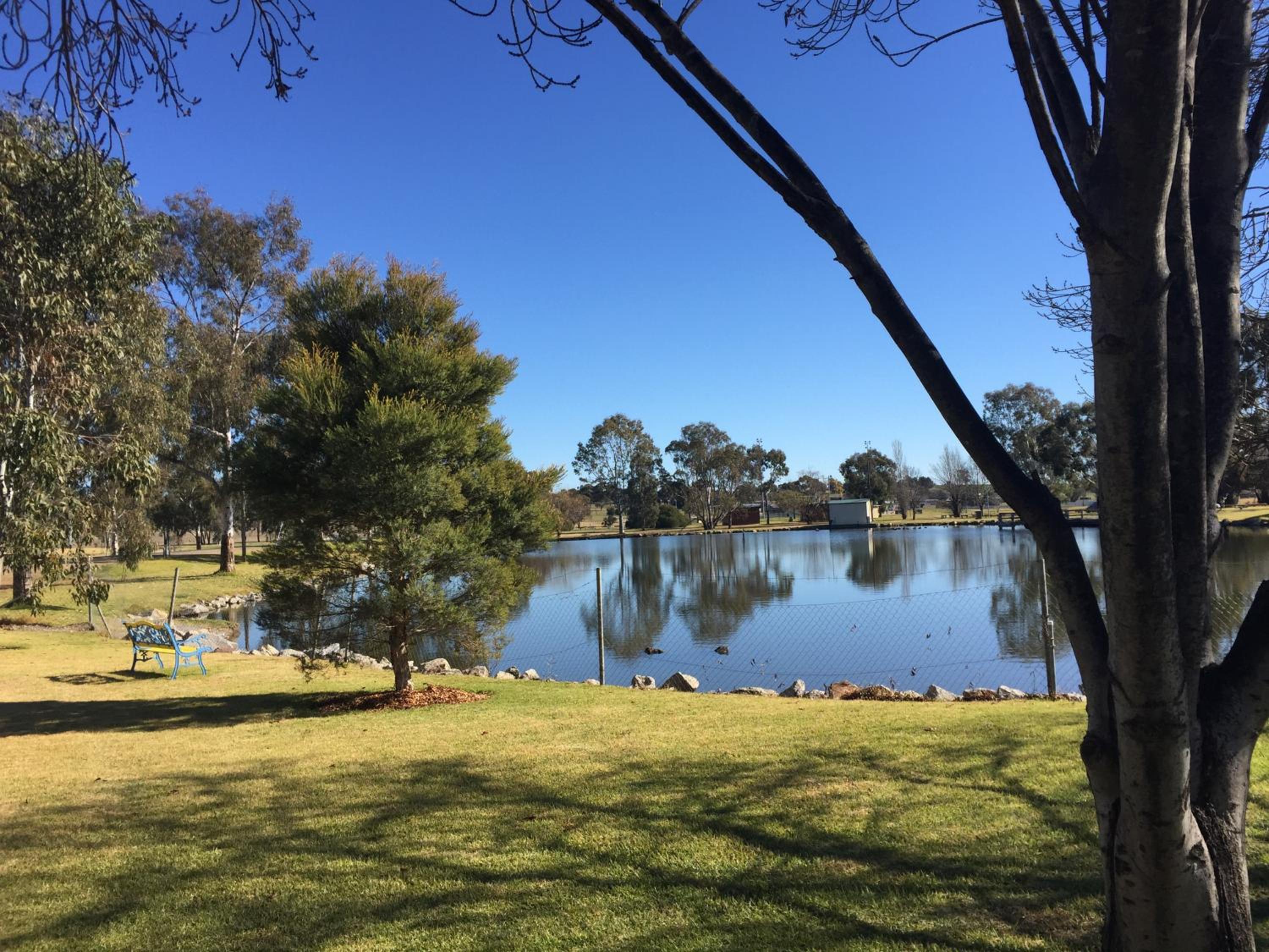 Junee Tourist Park