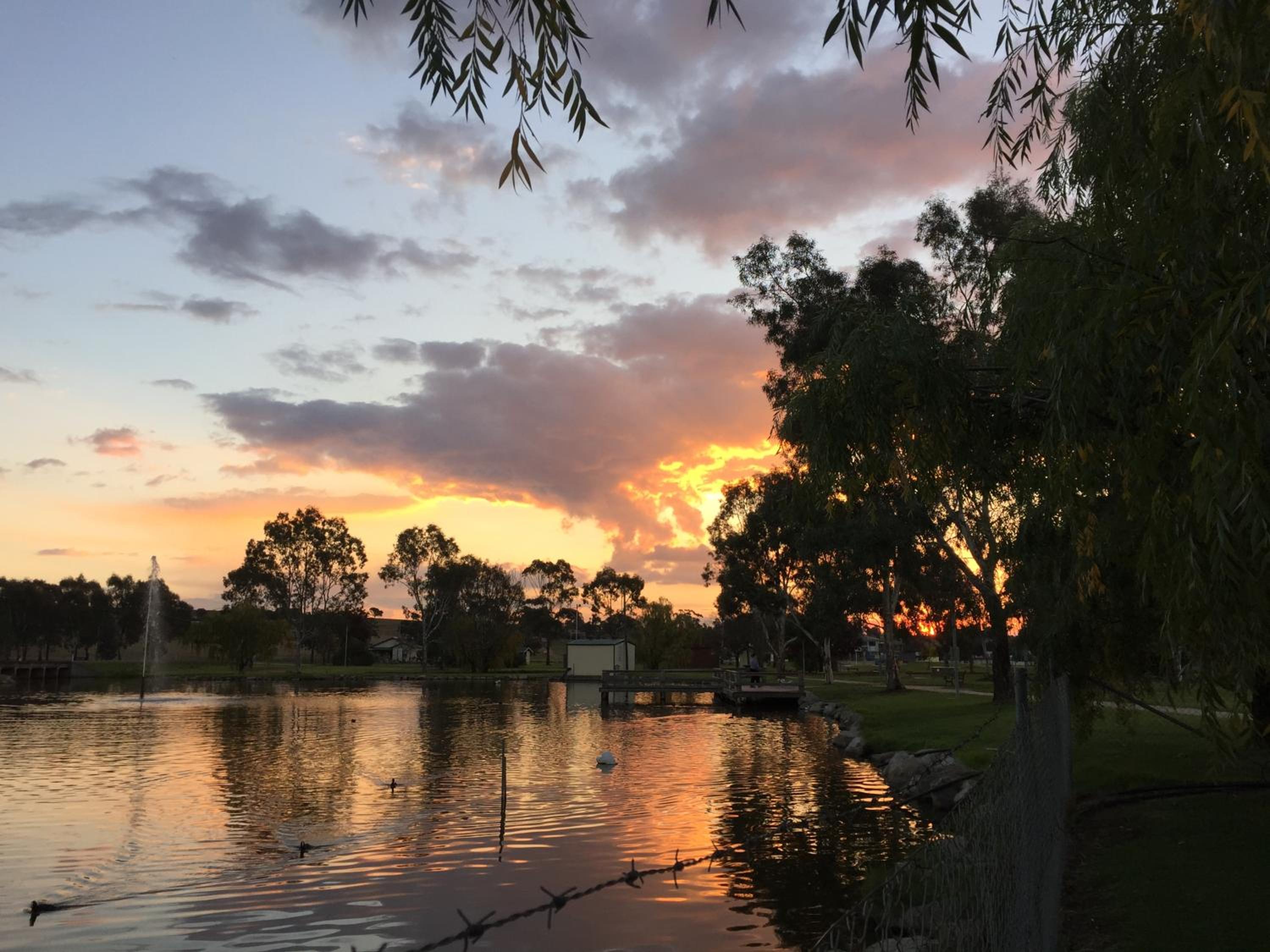 Junee Tourist Park