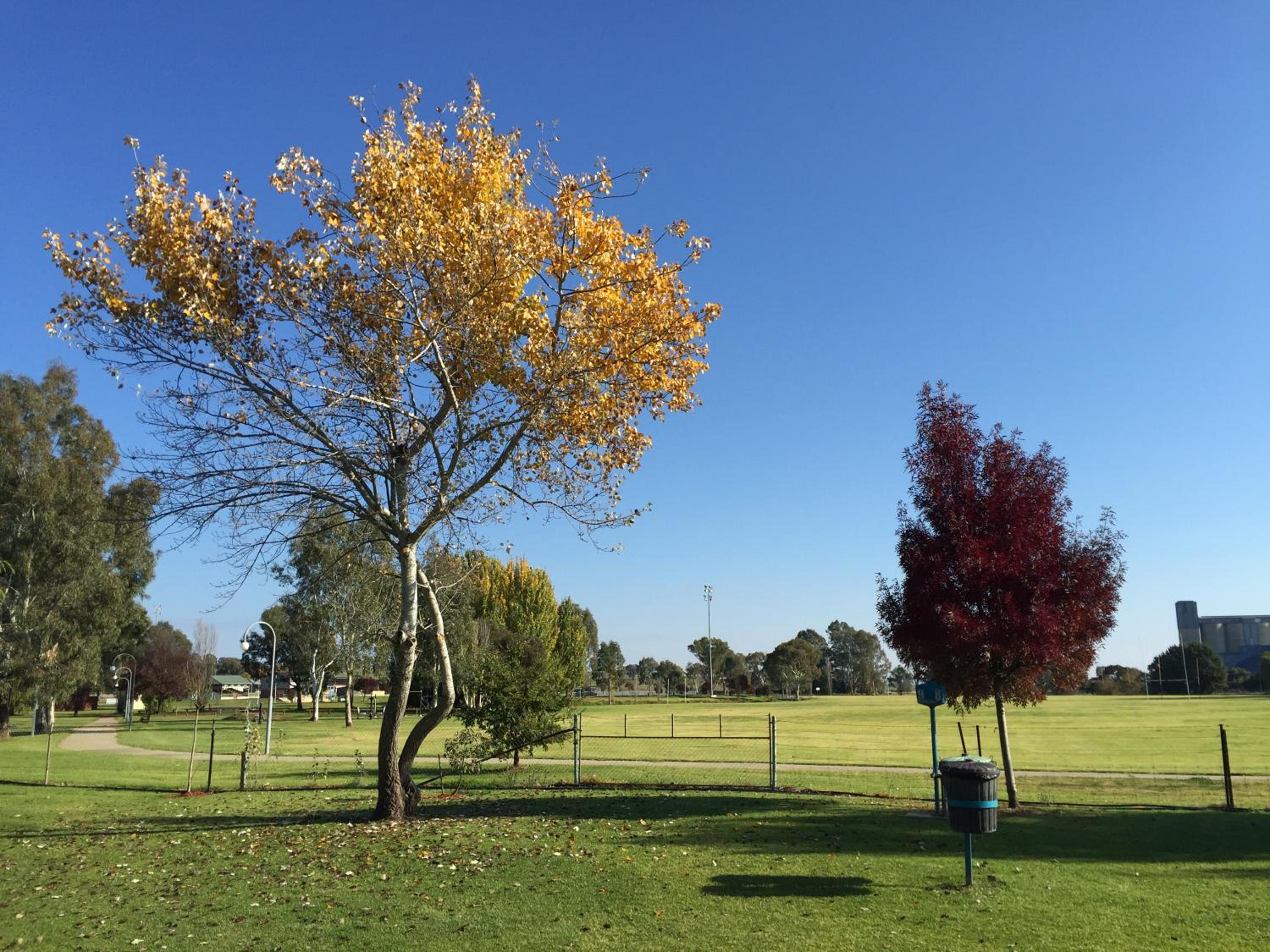 Junee Tourist Park