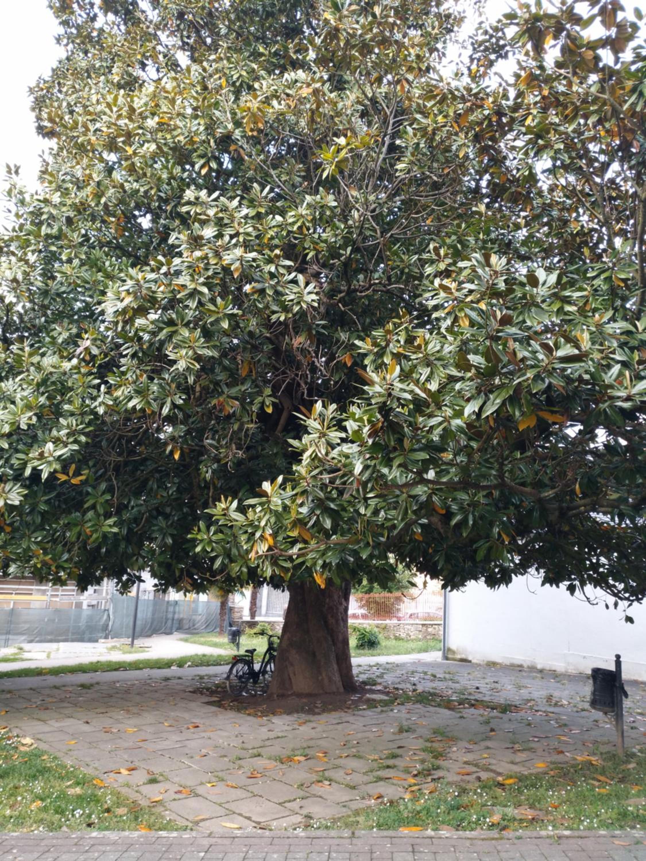 Pension-Albergue Don Alvaro