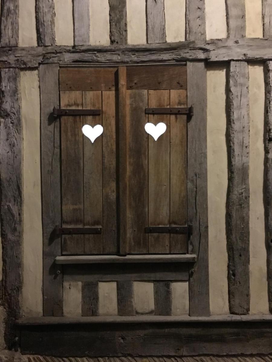 Le Vieux Troyes photo 5