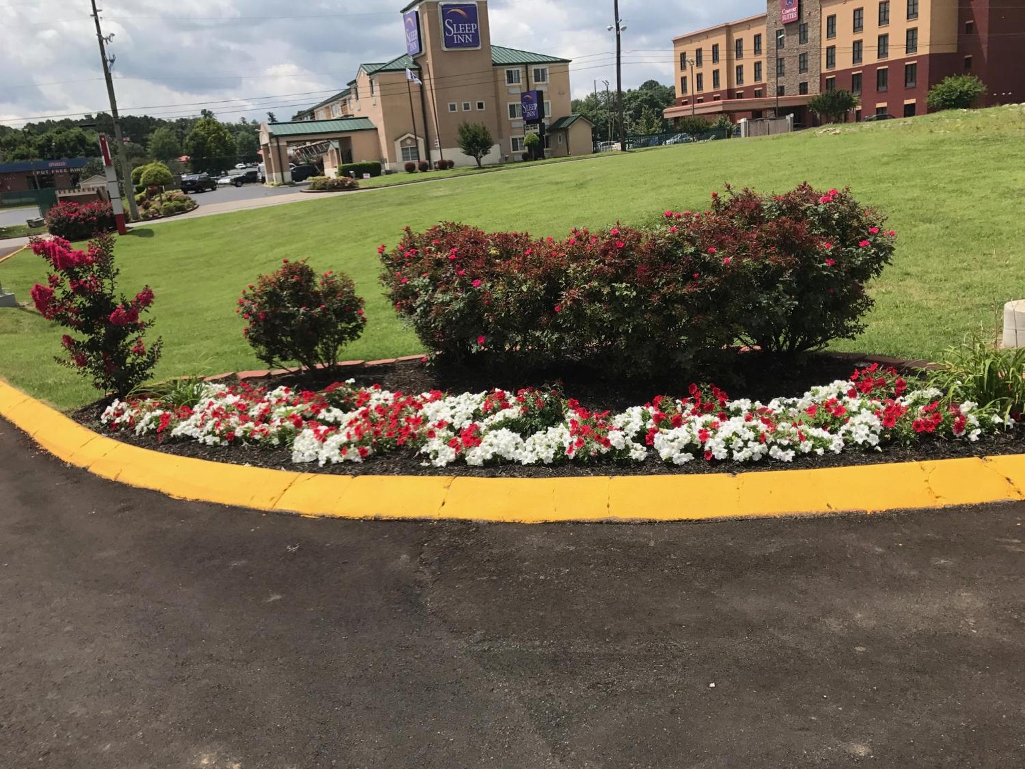Lotus Inn and Suites Nashville - Property Image 13