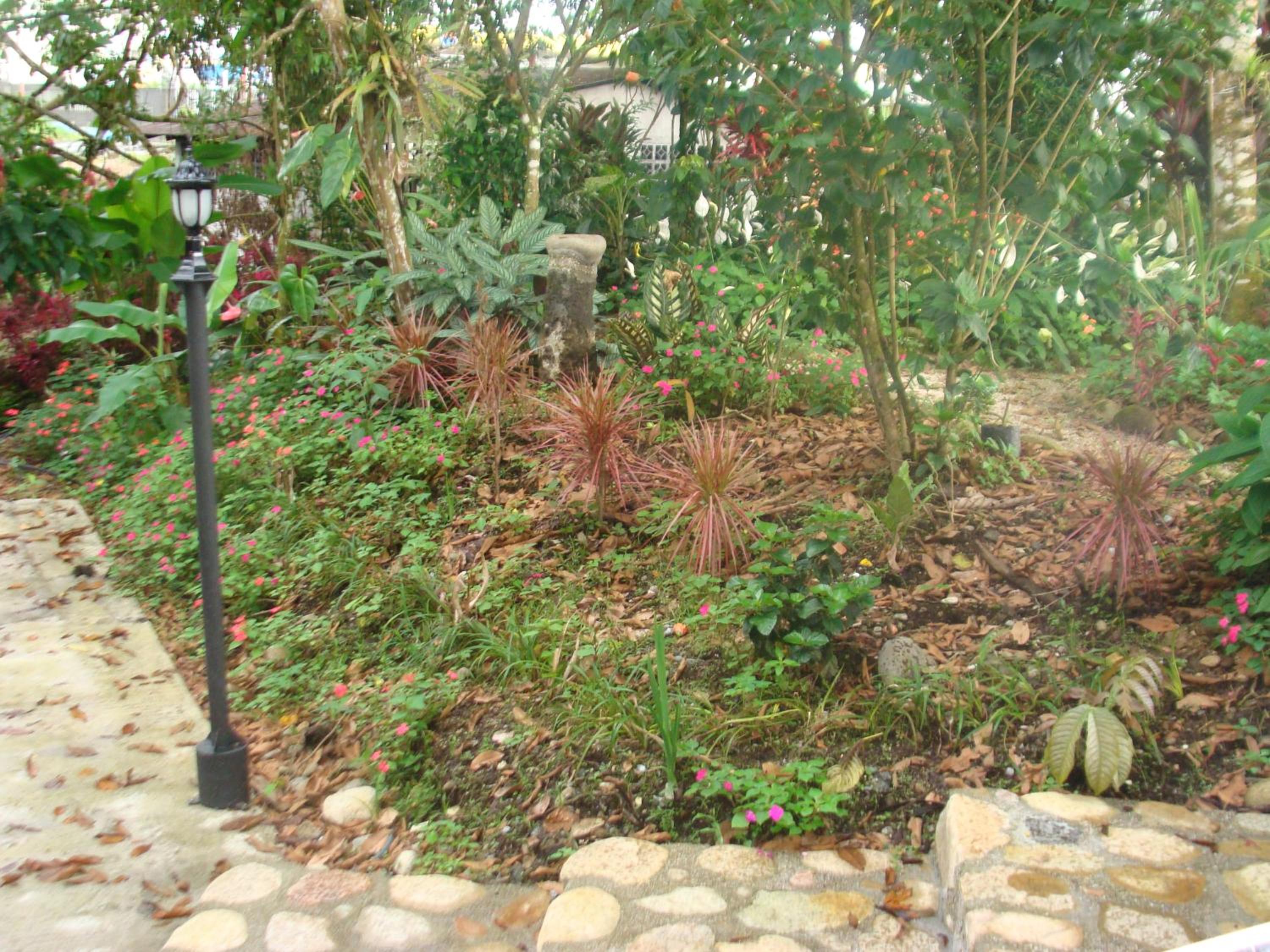 Photo 54
