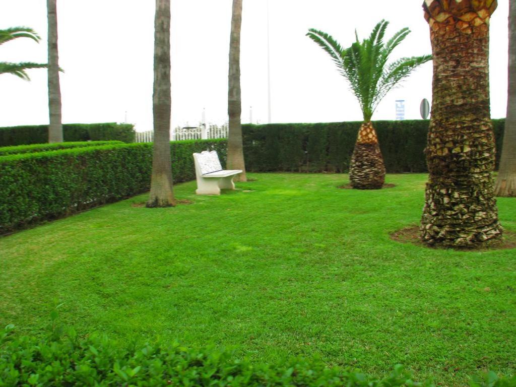 Photo 40