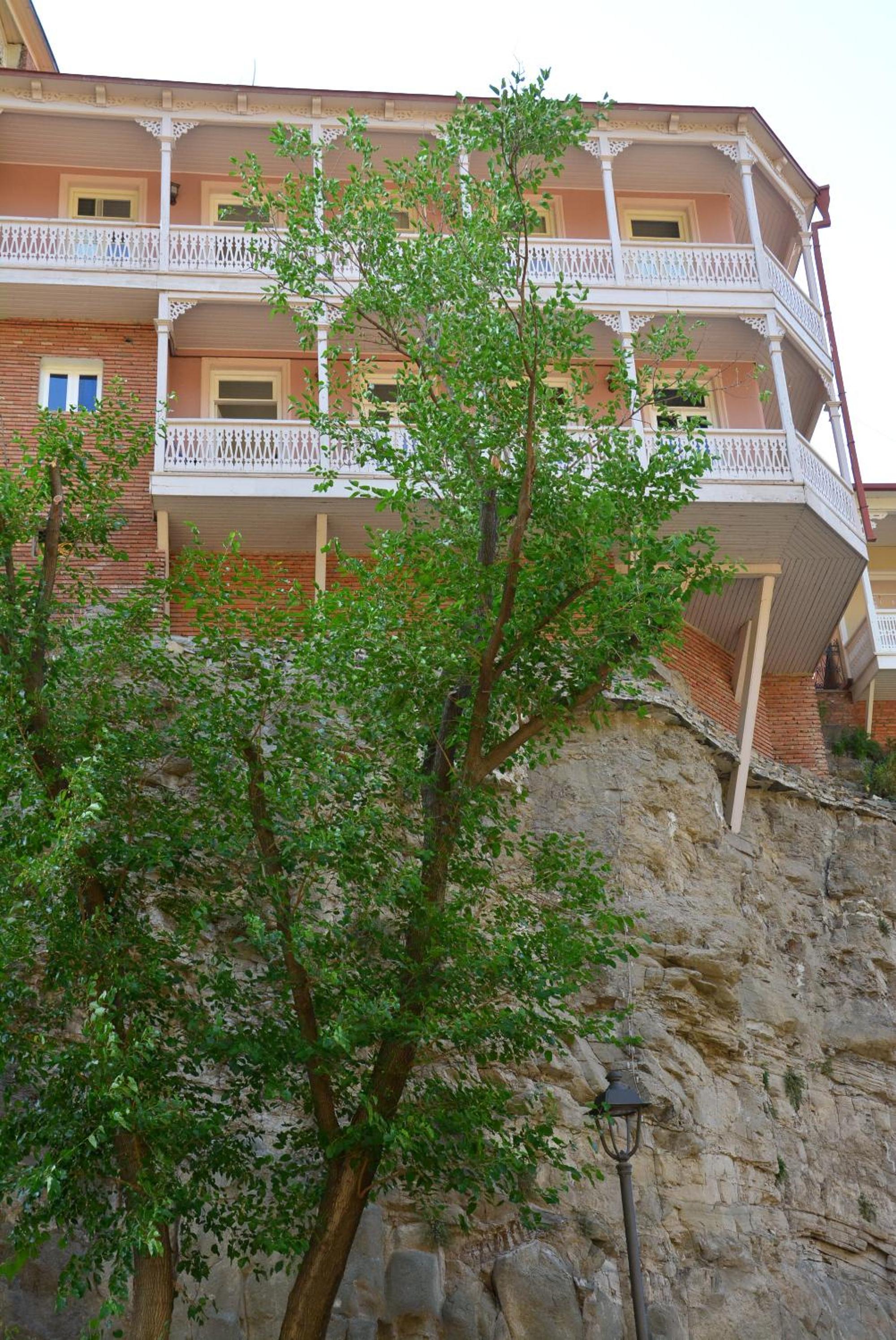 Photo 47