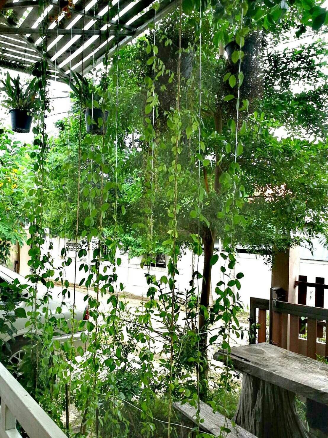Lampang Lanna Home