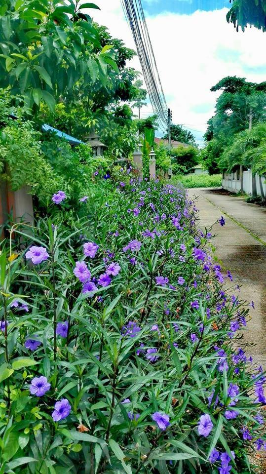 Lampang Lanna Home