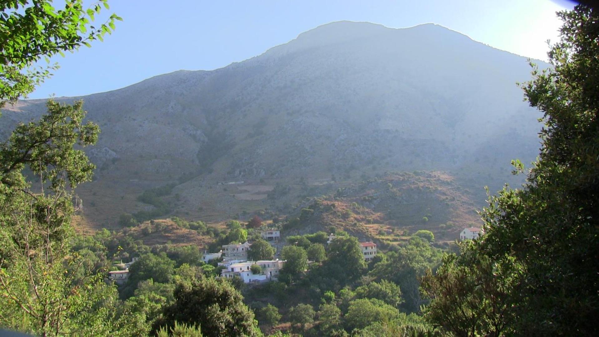 Photo 28