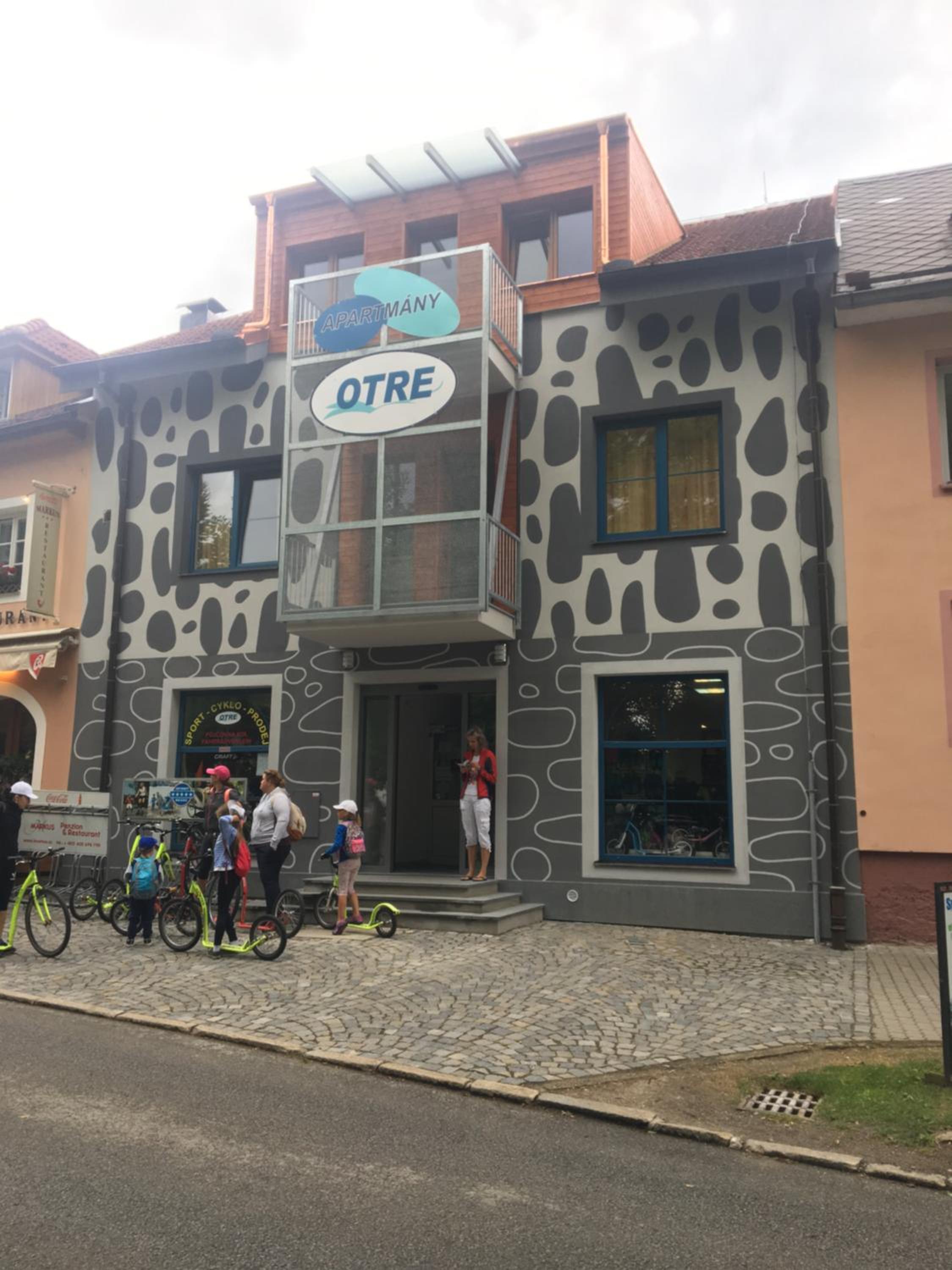 Apartments Otre Frymburk view 3